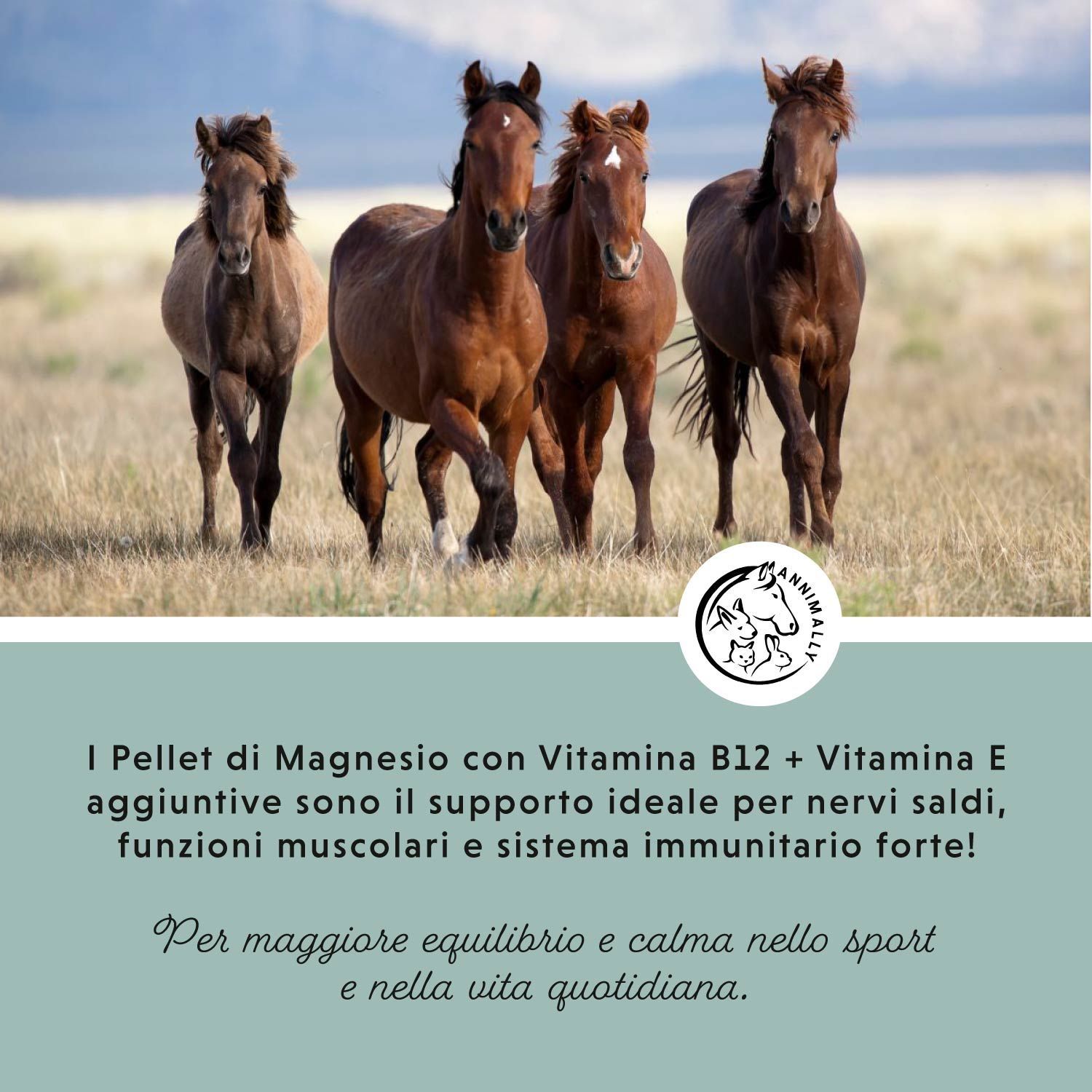 Quattro cavalli affiancati. Campo di testo con testo su Magnesium Pellets, vitamina B12 & E. Logo con cavallo e coniglio.