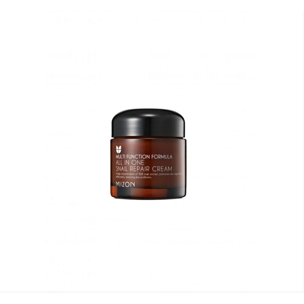 Vaso di crema marrone con coperchio nero. Scritta: Multi Function Formula, All In One, Snail Repair Cream. Marchio: MIZON.