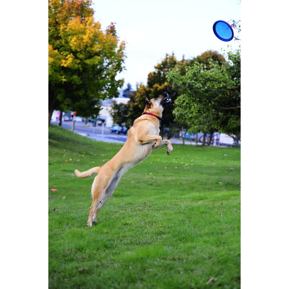 Chuckit Paraflight Piccolo