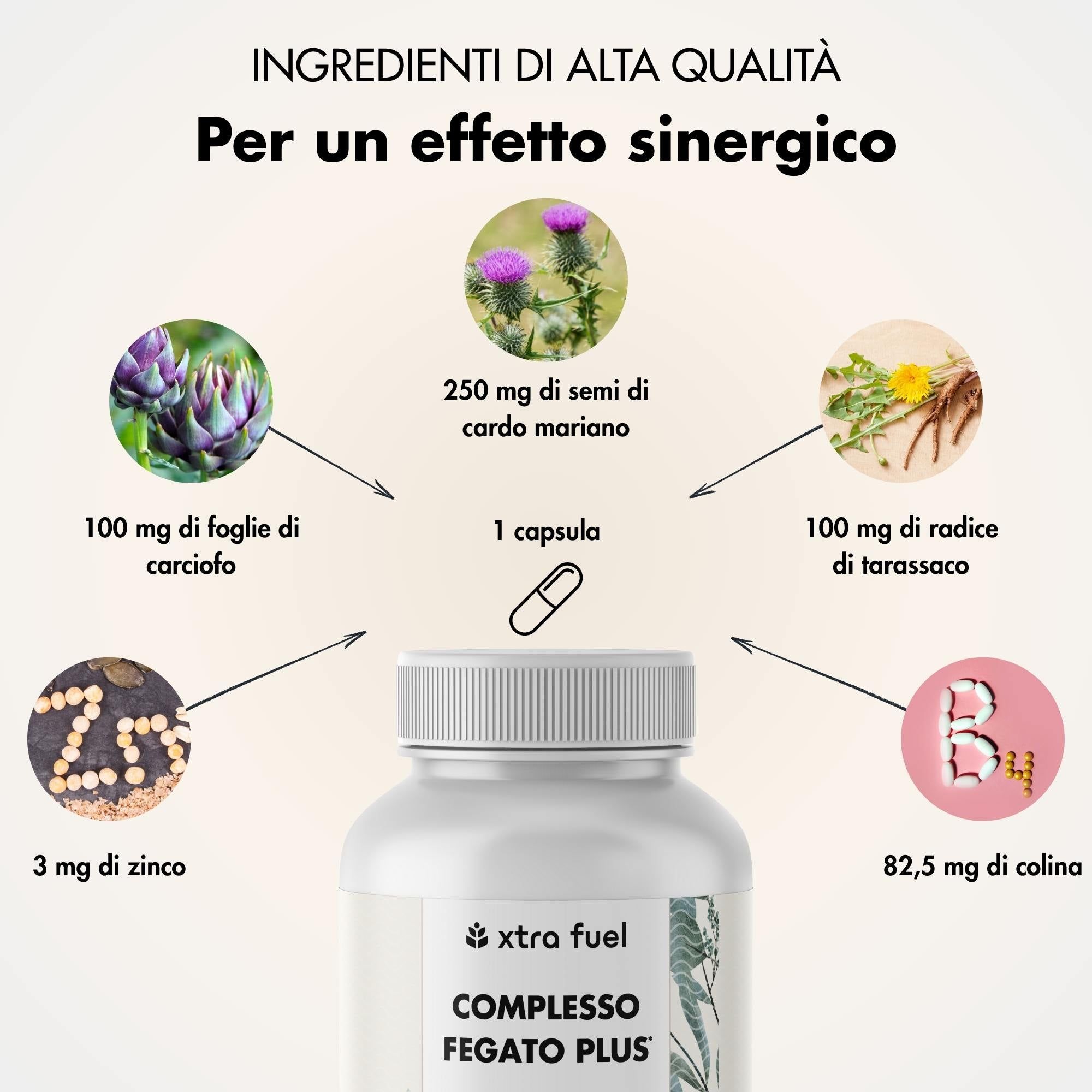 Grafico con ingredienti: carciofo, cardo mariano, tarassaco, zinco e colina. Flacone COMPLESSO FEGATO PLUS.