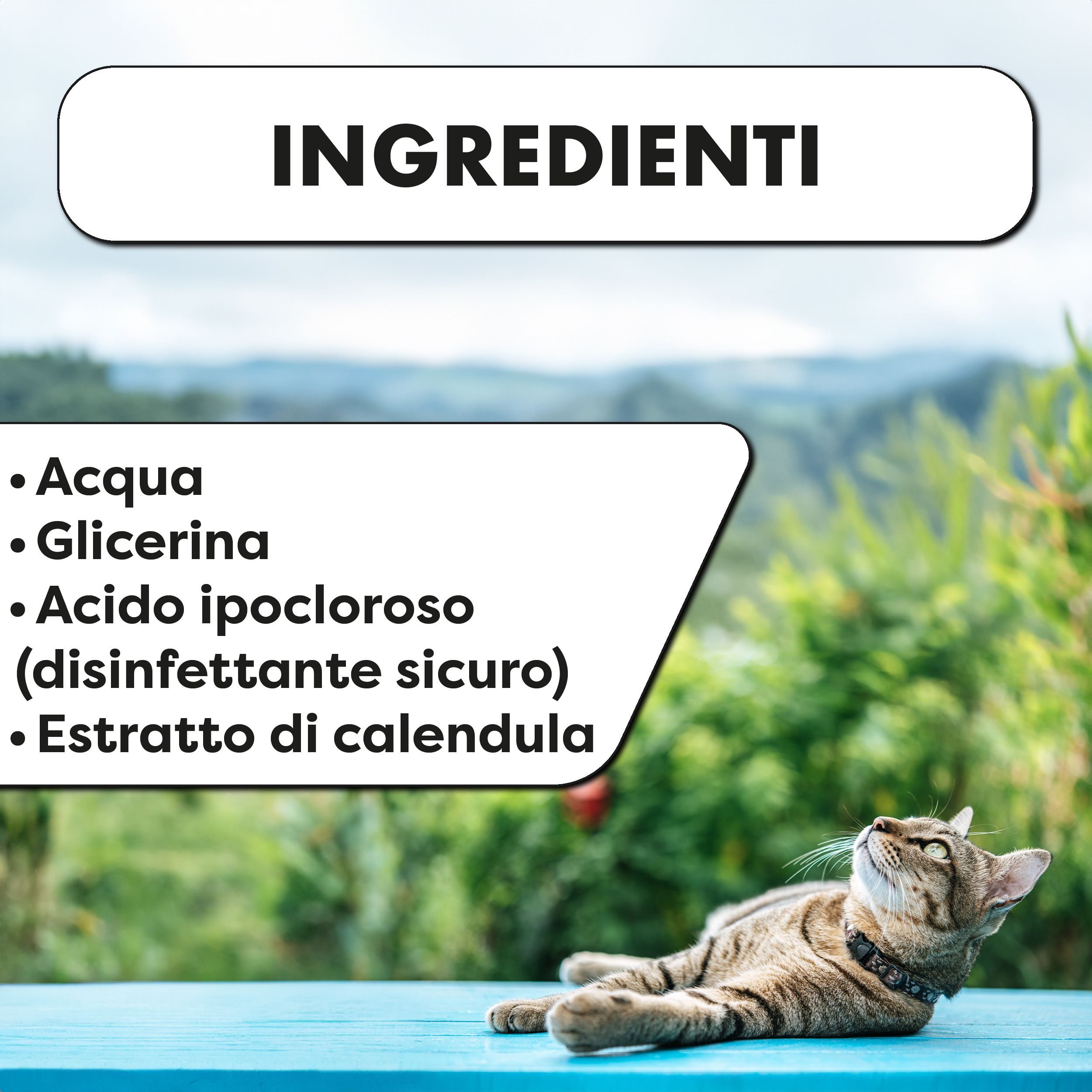 Gatto su tavolo blu. Testo: Ingredienti: Acqua, glicerina, acido ipocloroso, estratto di calendula.
