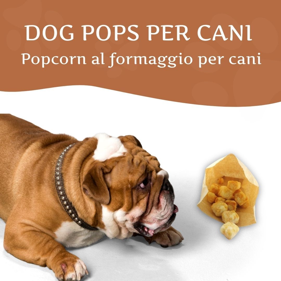 Wildfang - Popcorn al formaggio per cani