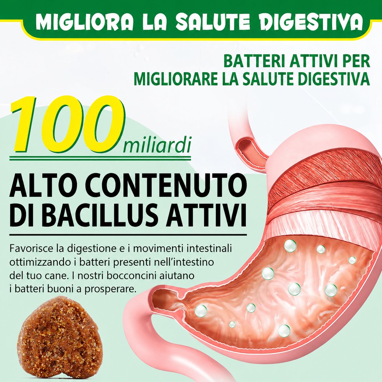 Illustrazione di uno stomaco di cane. Testo: Alto contenuto di Bacillus attivo. Supporta la digestione. 100 miliardi di batteri.