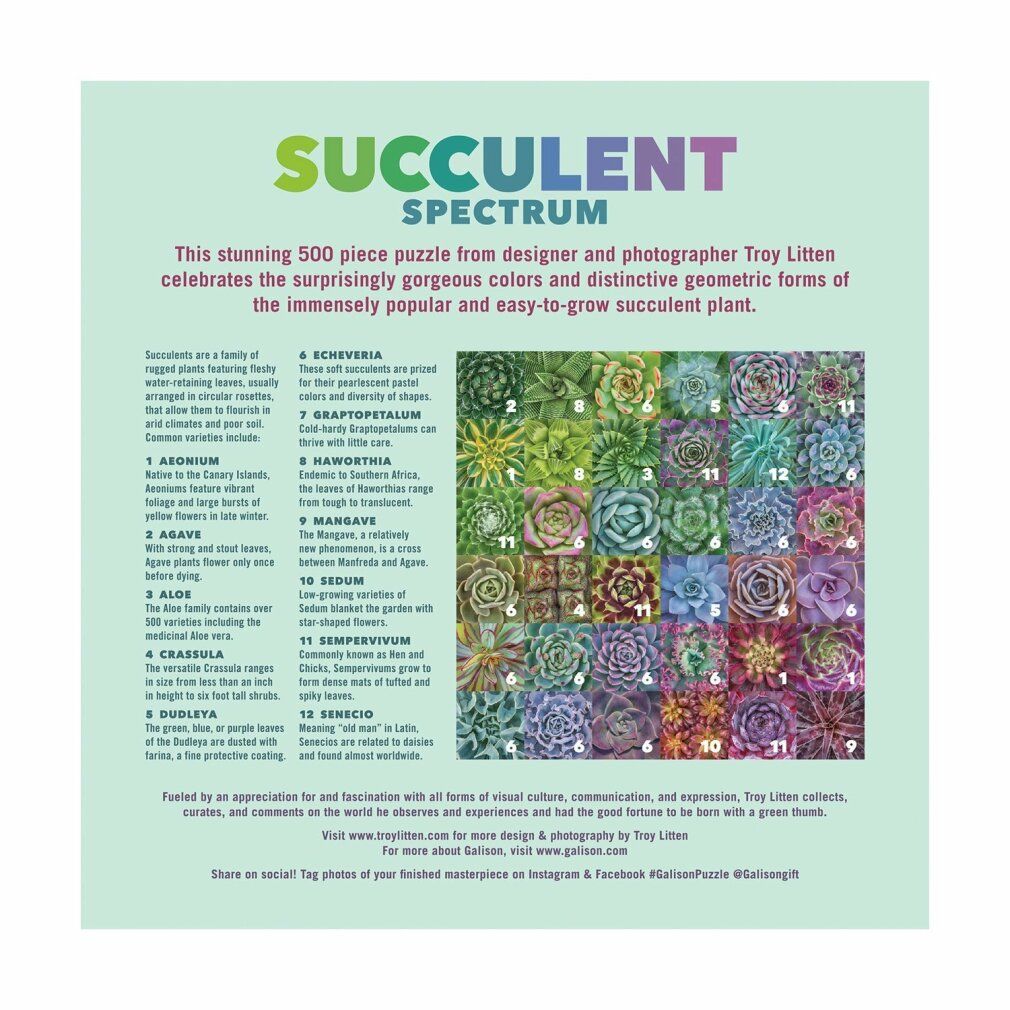 galison Puzzle quadrato Spettro di Succulente 500 pezzi