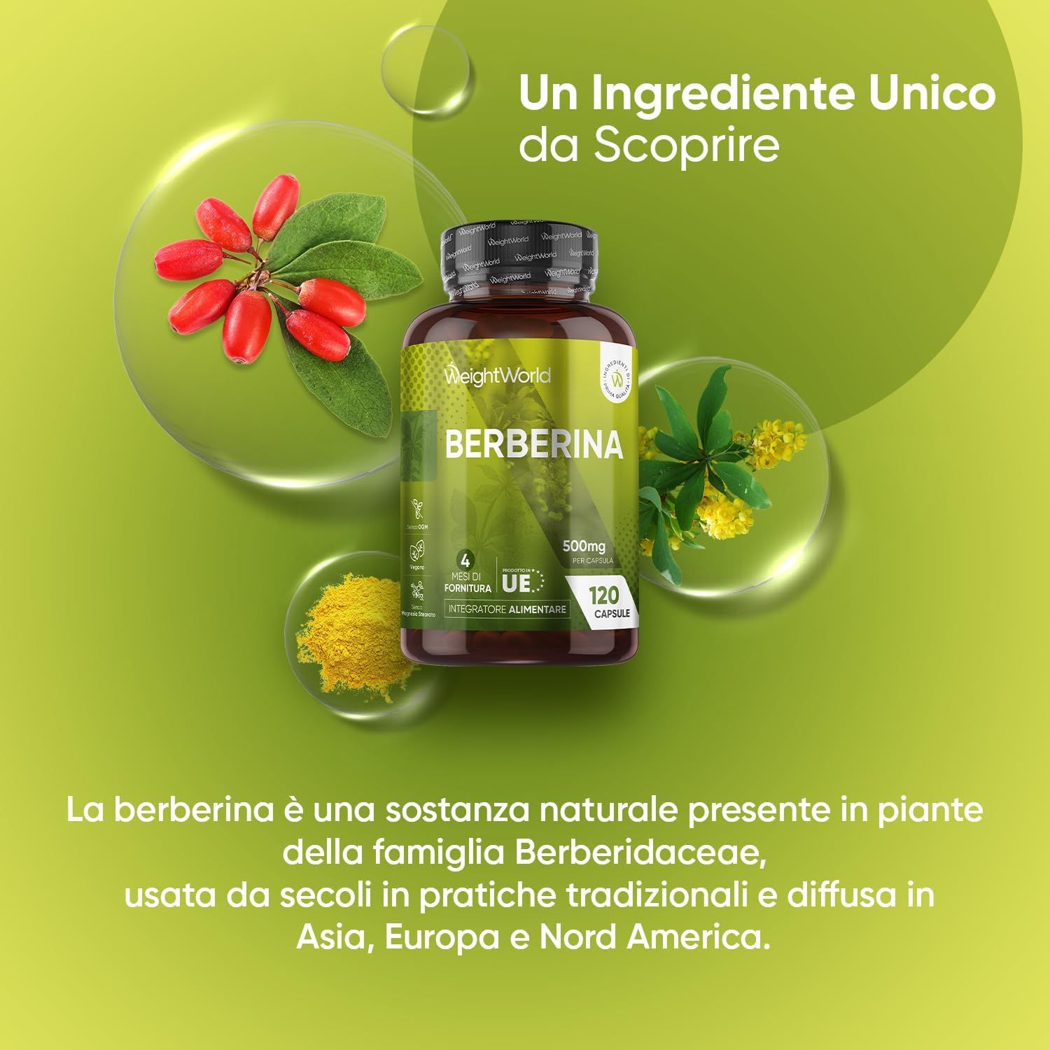 Immagine del prodotto capsule di berberina in bottiglia. Contiene informazioni su ingredienti e caratteristiche.