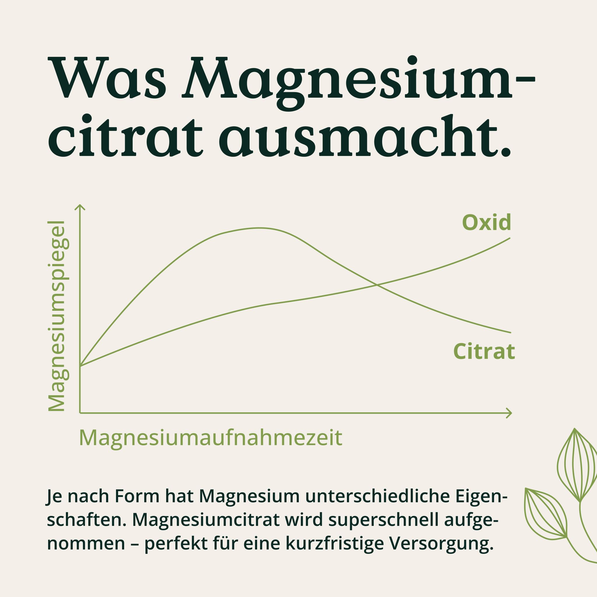 Grafico che mostra l'assorbimento del magnesio da citrato vs ossido nel tempo. Testo: Cosa rende il magnesio citrato.