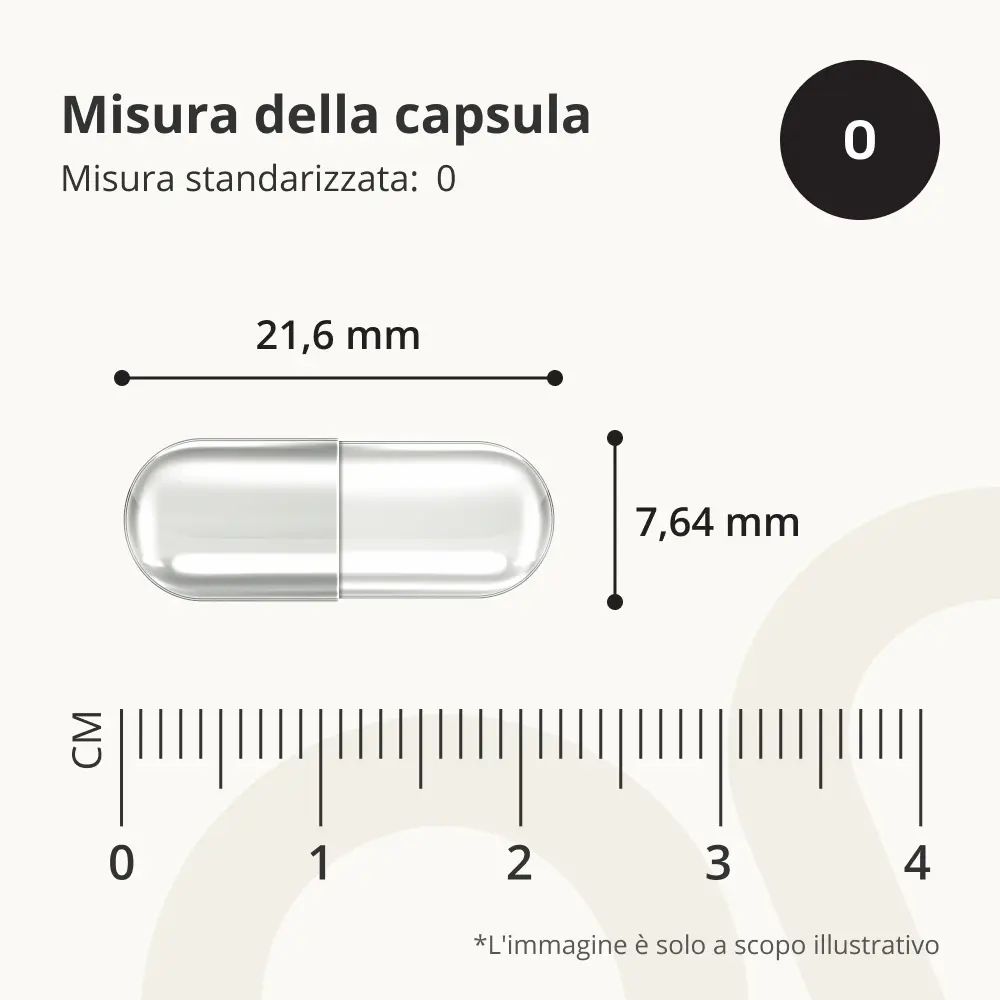Capsula con dimensioni: 21,6 mm x 7,64 mm. Misura standardizzata: 0. Scala in cm.