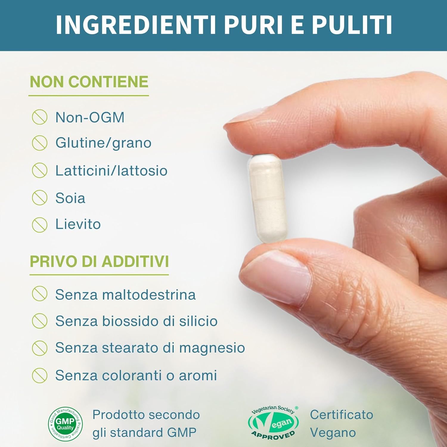 Elenco ingredienti puri: Senza OGM, glutine, lattosio, soia, lievito. Senza additivi.