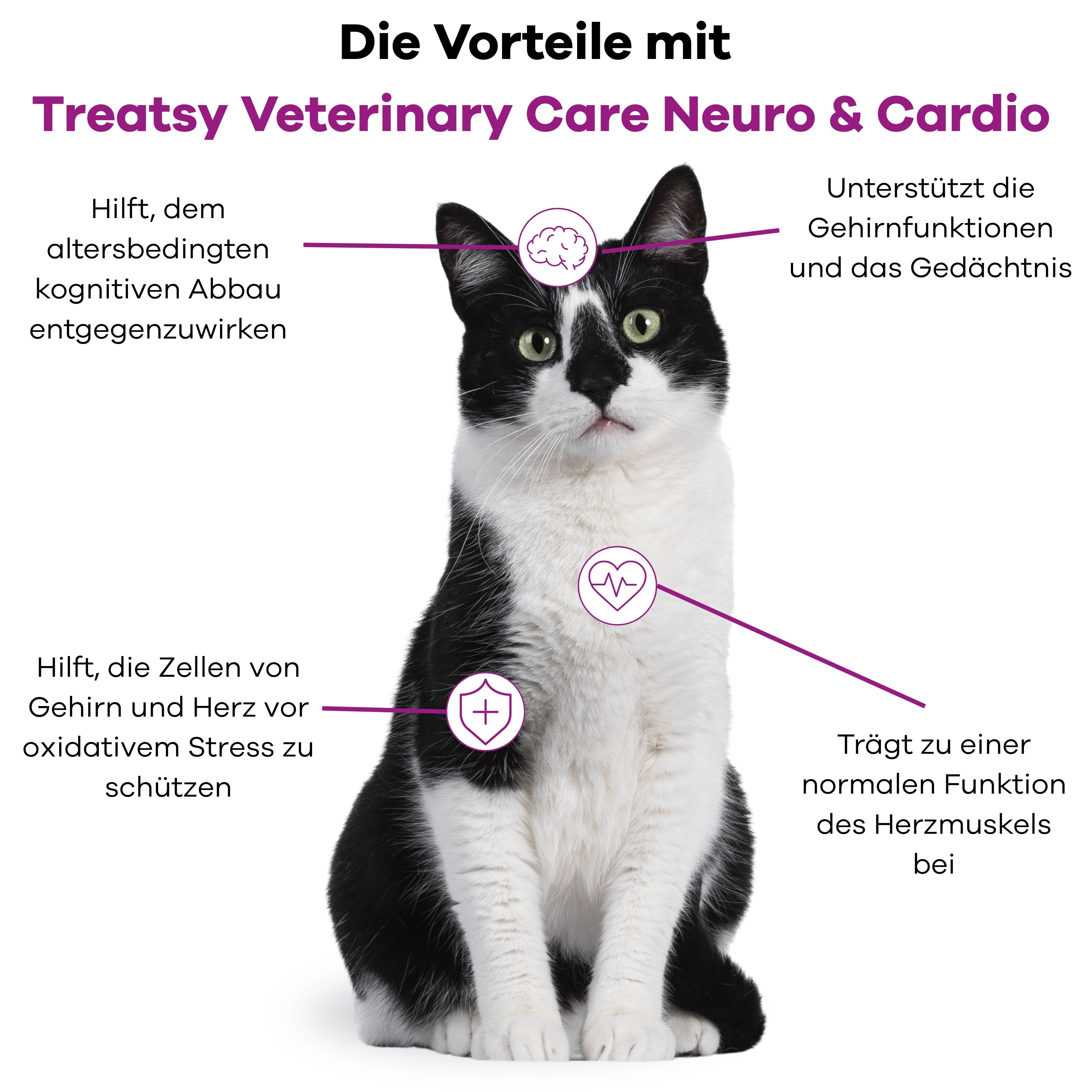 Gatto seduto. Diagramma dei vantaggi di Neuro & Cardio. Testo: Aiuta a proteggere le cellule, supporta le funzioni cerebrali.