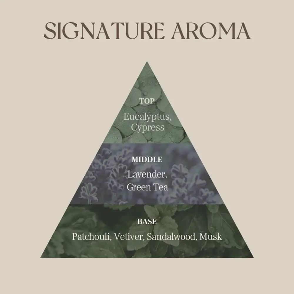 Piramide con note olfattive: Eucalipto, Cipresso, Lavanda, Tè verde, Patchouli, Vetiver, Sandalo, Muschio. Testo: Signature Aroma.