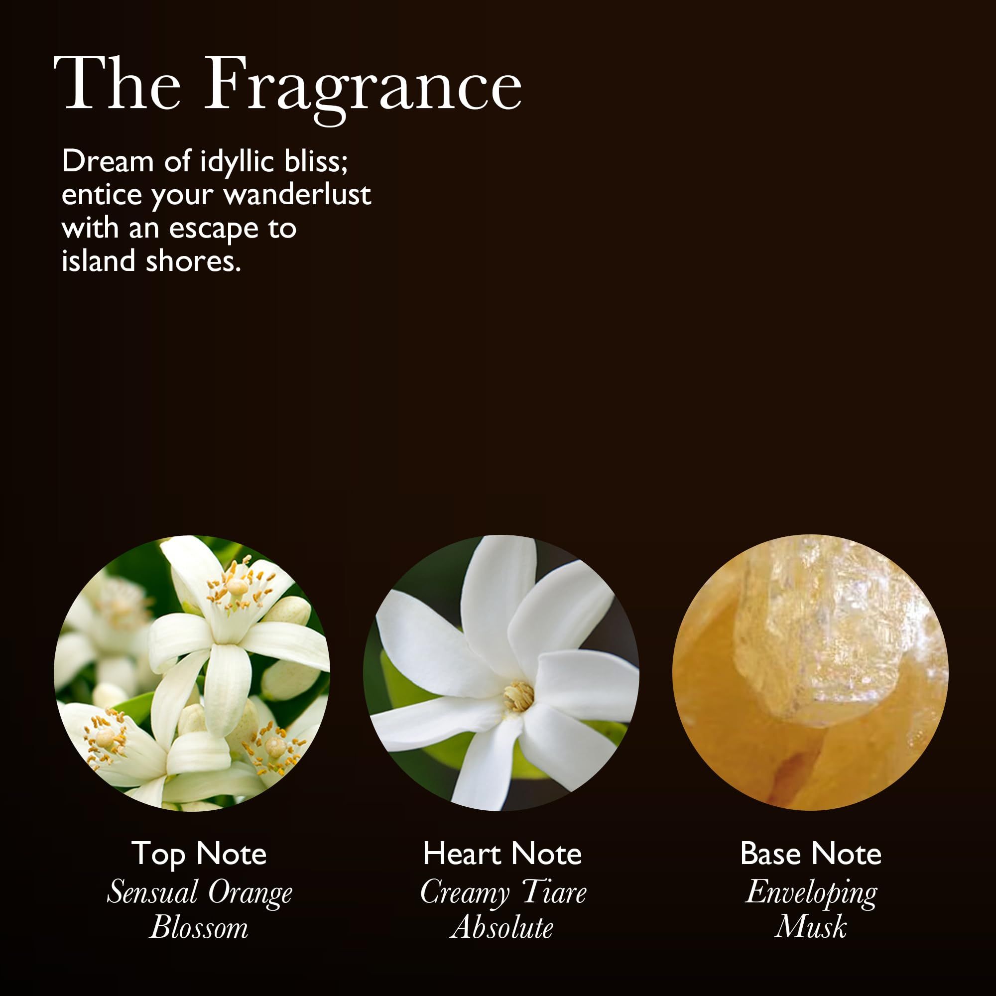 Grafica con tre cerchi. Scritta: Top Note, Heart Note, Base Note. Ingredienti: Arancia, Tiaré, Muschio.