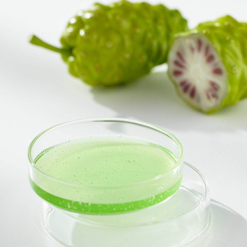 Frutto di noni e liquido verde in una capsula di Petri.