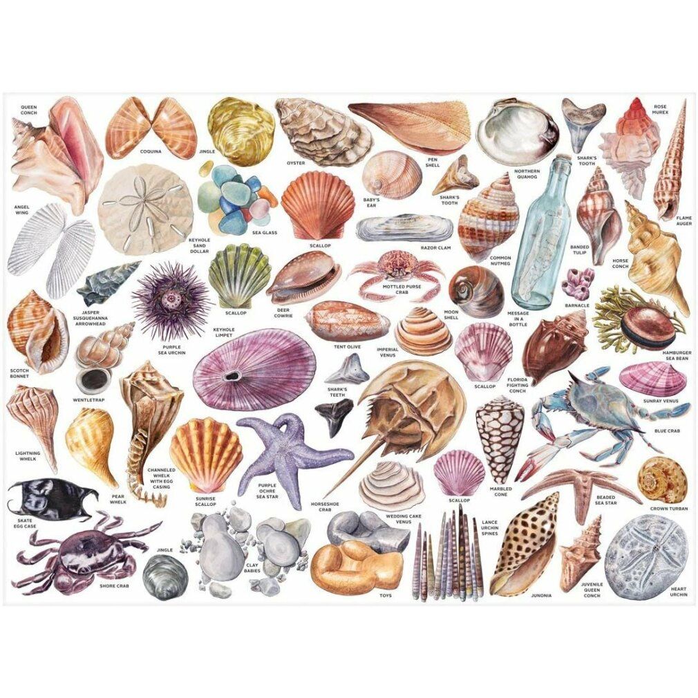 galison Puzzle Tesori della spiaggia 1000 pezzi