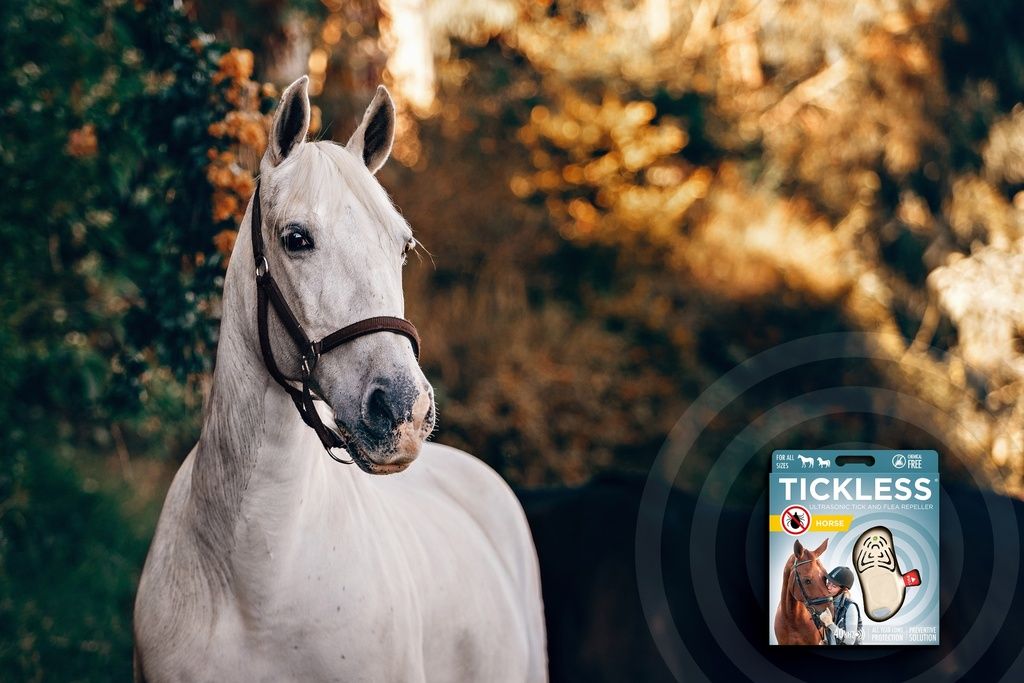 Cavallo bianco con cavezza. Confezione con nome del prodotto, cavallo, dispositivo. Testo: 'TICKLESS'.