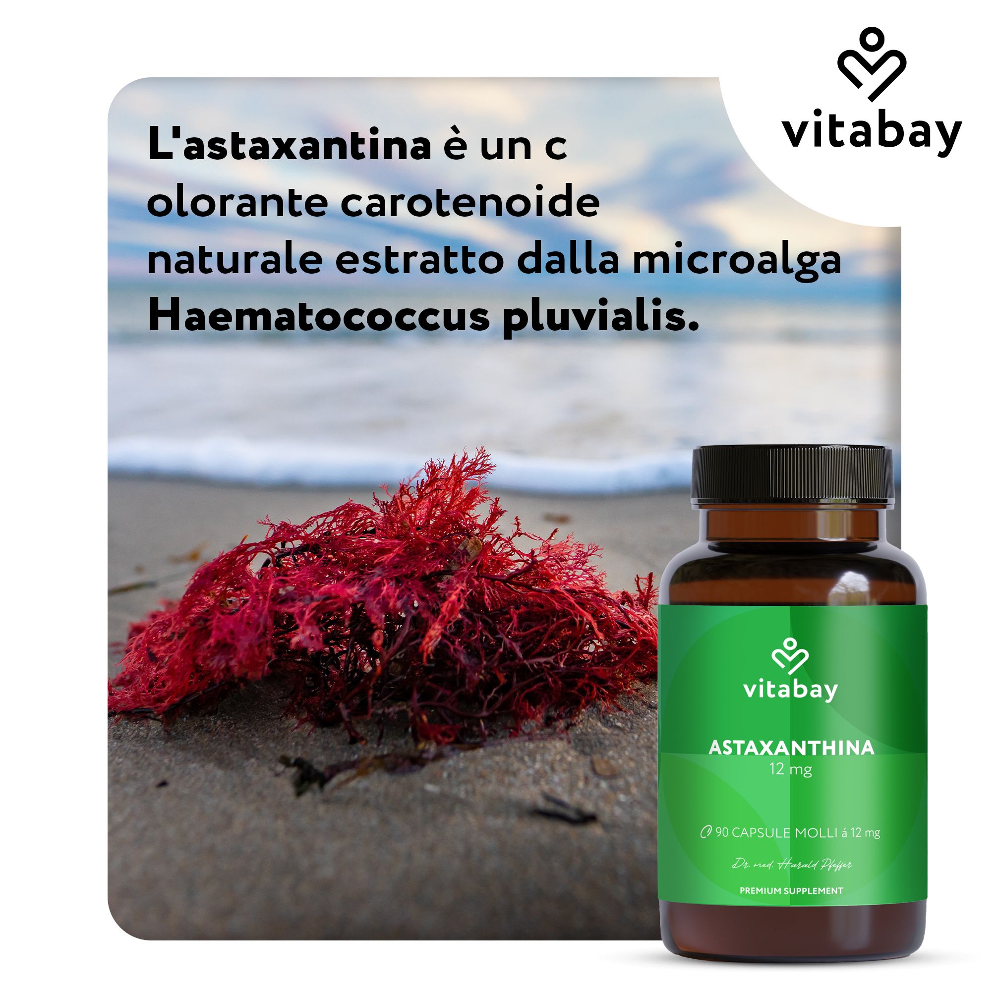 Flacone di Vitabay Astaxantina 12 mg accanto ad alghe rosse sulla spiaggia.