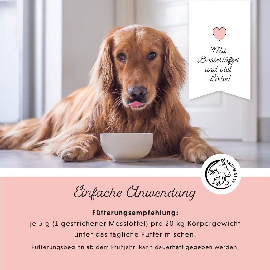 Sfondo rosa con testo. Logo: Annimally. Testo: Facile applicazione. Raccomandazioni per l'alimentazione. Immagine: cane con ciotola.