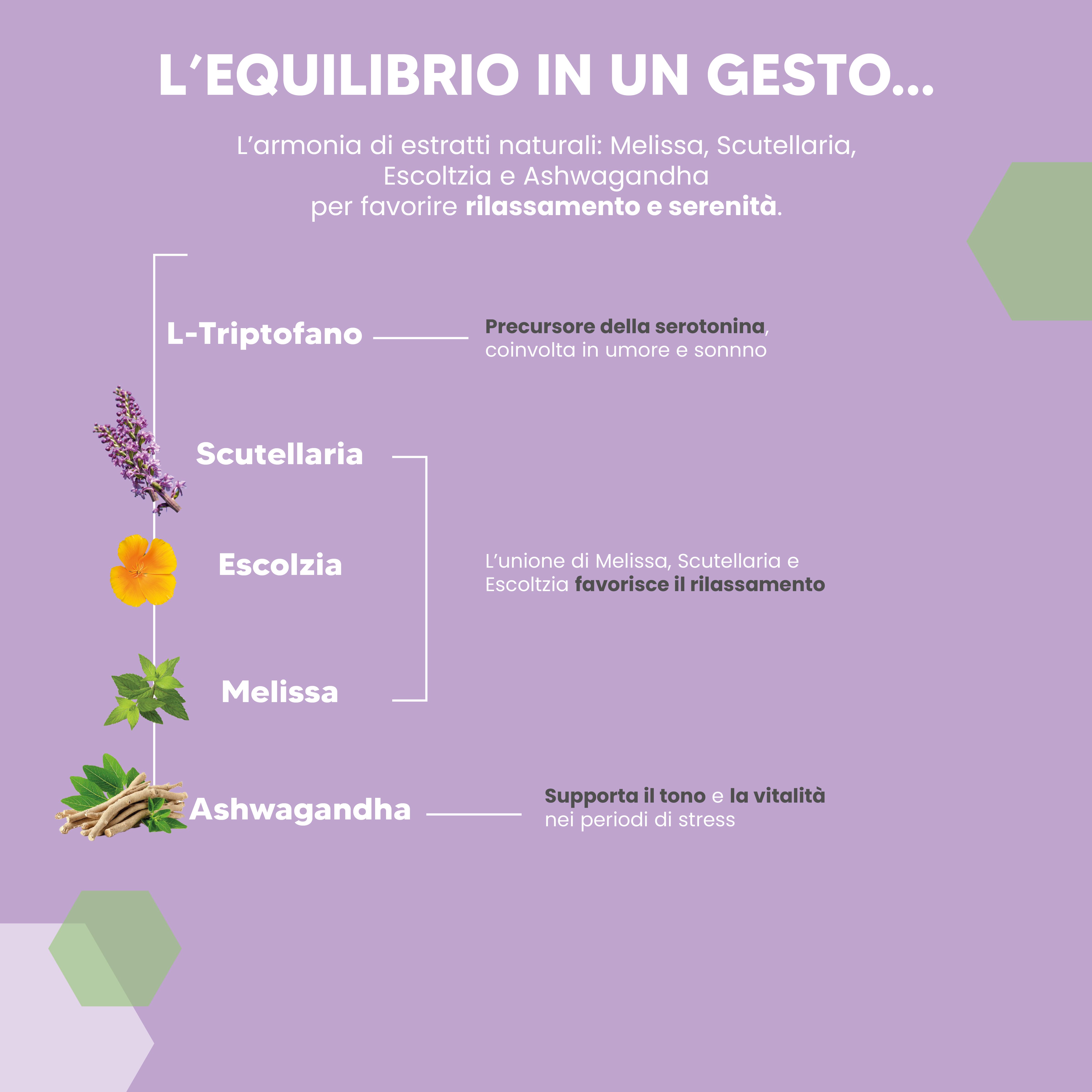 NTP Biotech - No Stress Gum - integratore alimentare in chewing gum per Stress e benessere mentale