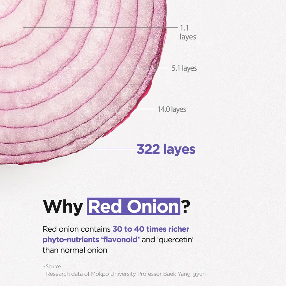 Sezione trasversale di una cipolla rossa. Etichette dei livelli. Testo: Why Red Onion? Contiene flavonoidi e quercetina.