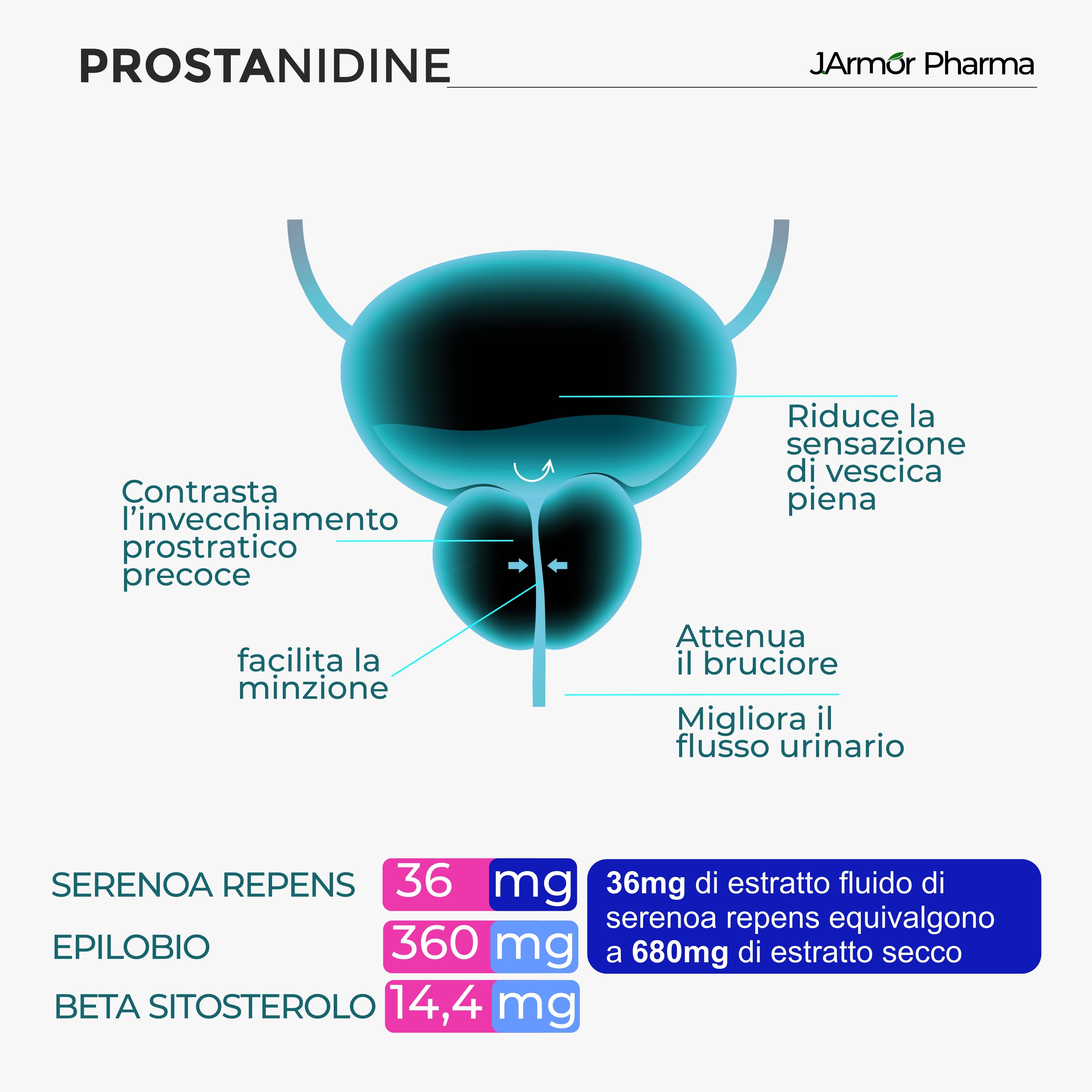 Serenoa Repens e Epilobio Liquido con β-Sitosterolo - Supporto Prostata e Vie Urinarie