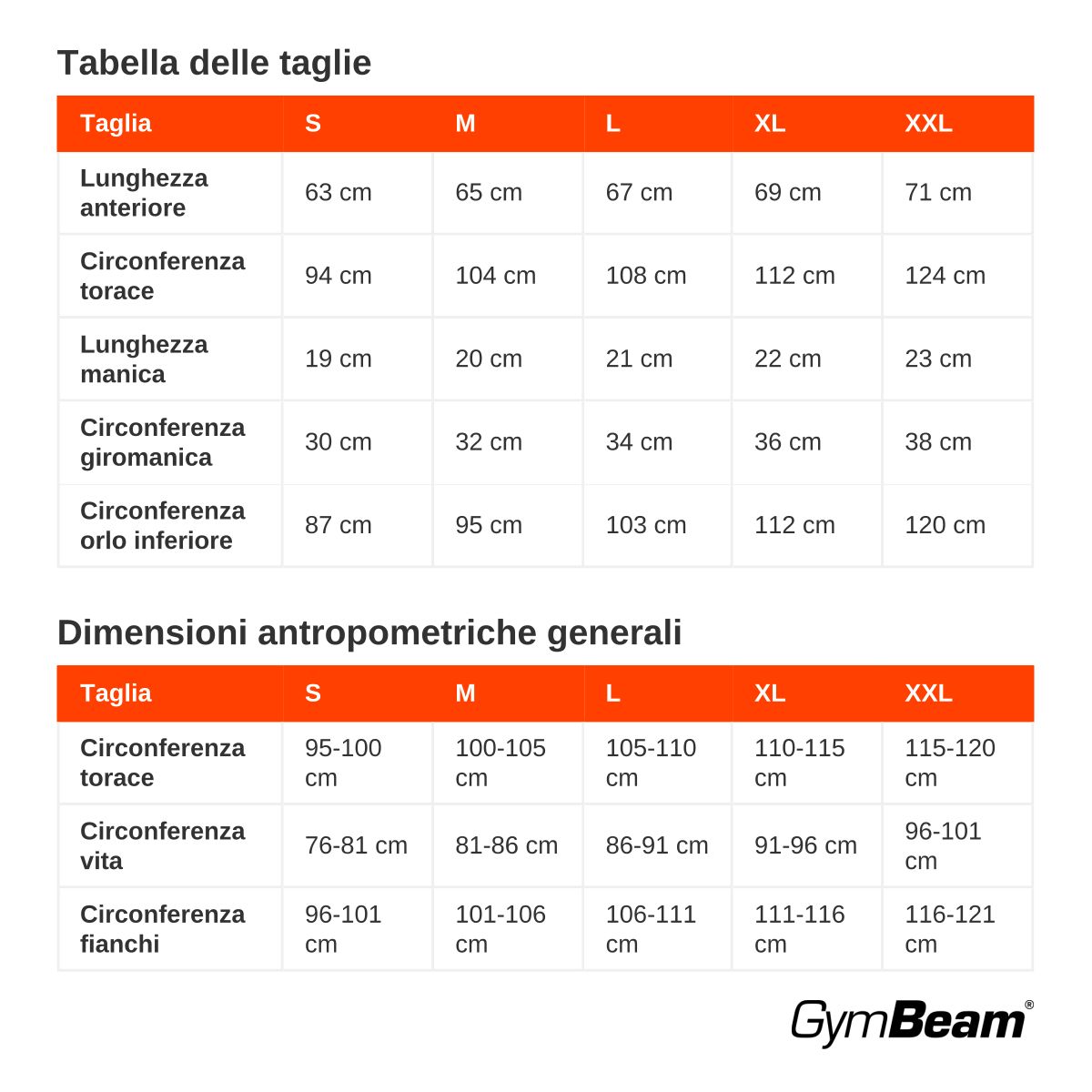 GymBeam T-shirt uomo Essence regular manica corta in viscose ed elastane Black