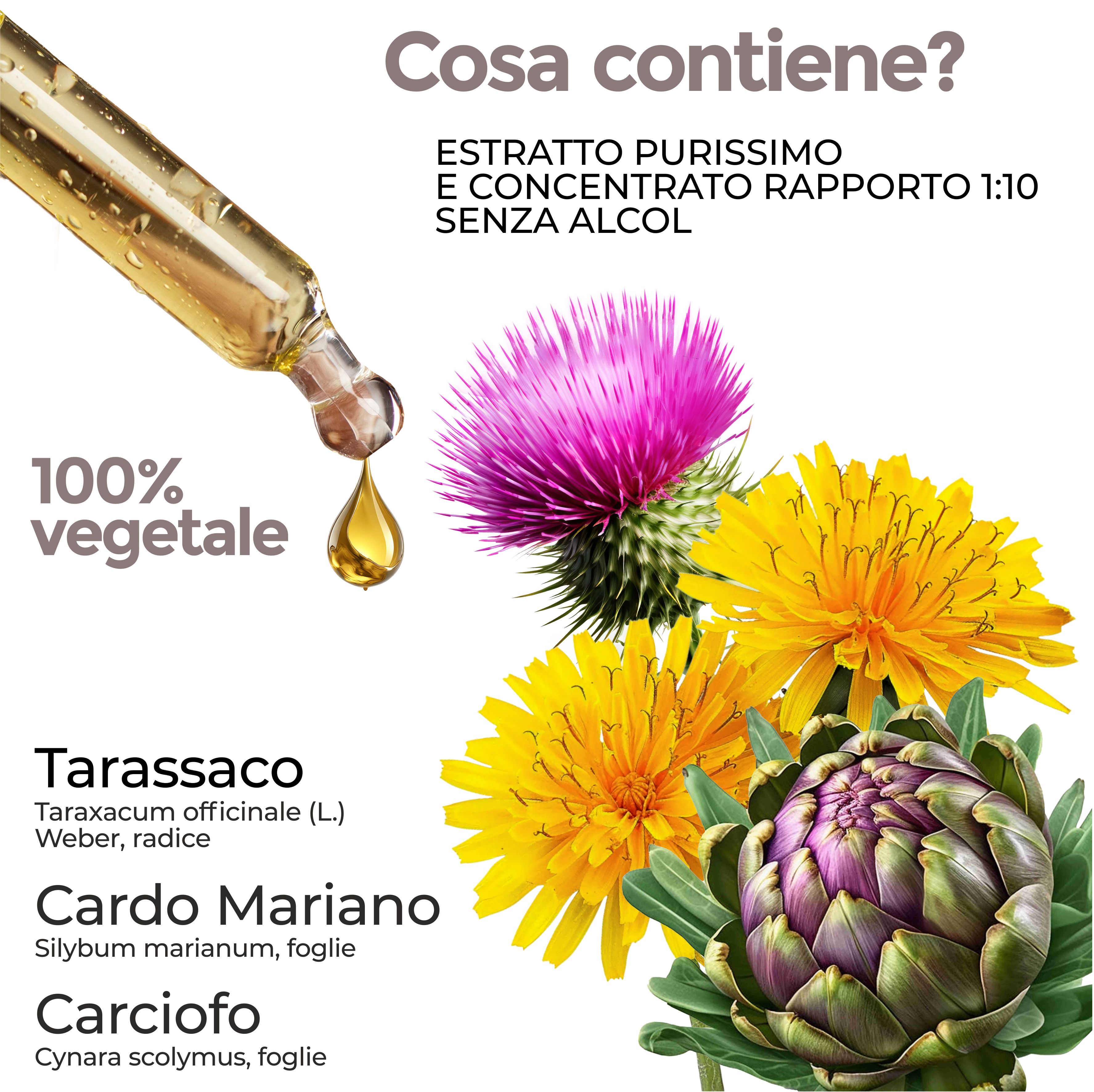 Primo piano di fiori gialli e viola, carciofo e contagocce. Testo: 100% vegetal, Tarassaco, Cardo Mariano, Carciofo.