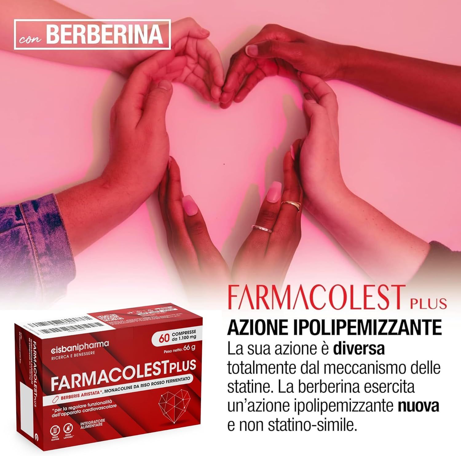 Cisbani Pharma Farmacolest Plus con berberina, azione ipolipemizzante.