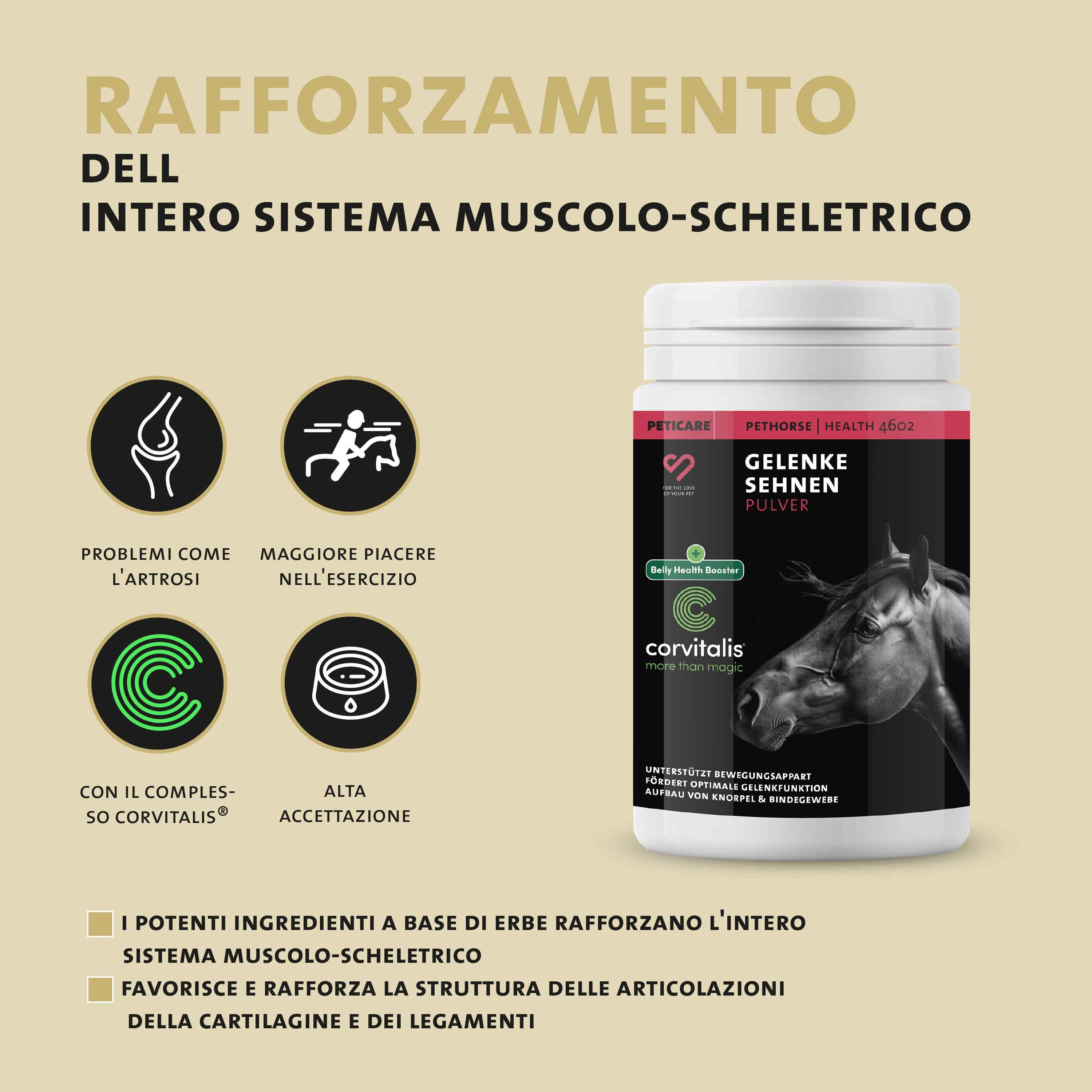 Peticare Gelenke Sehnen Pulver barattolo, rafforza apparato motorio, con Corvitalis.
