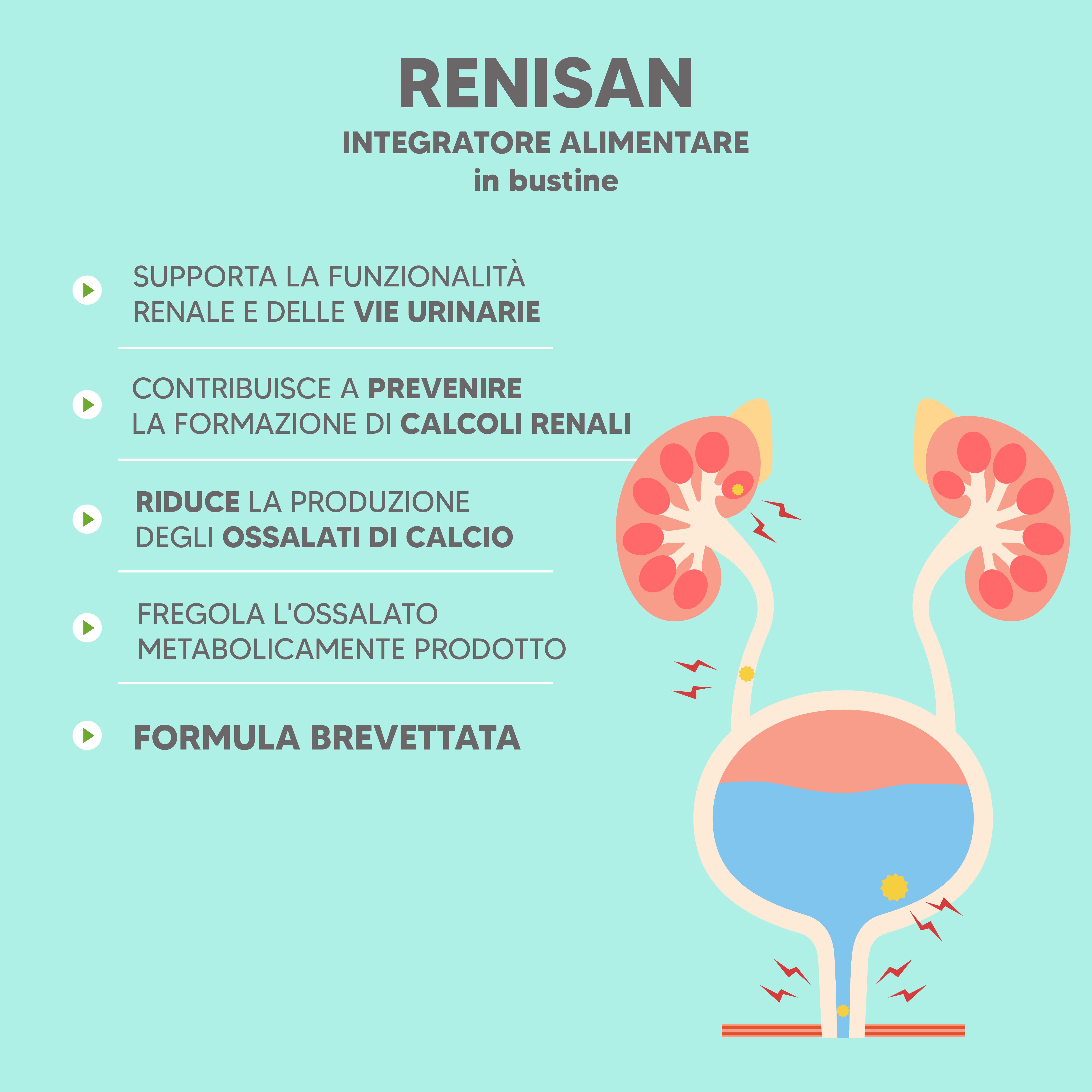 NTP Biotech - Renisan - Integratore per il supporto della funzionalità renale e urinaria