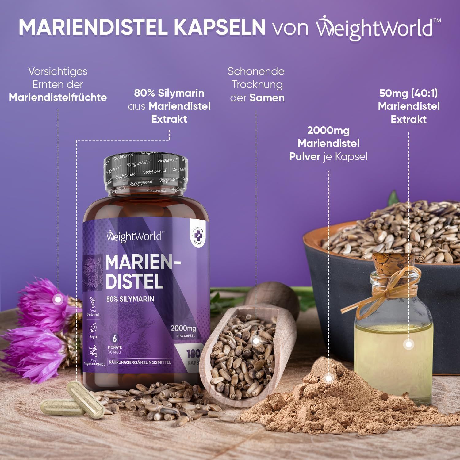 Immagine del prodotto con capsule di cardo mariano, semi, olio e polvere. Testo: Capsule di cardo mariano di WeightWorld. 80% silimarina, 2000mg per capsula.