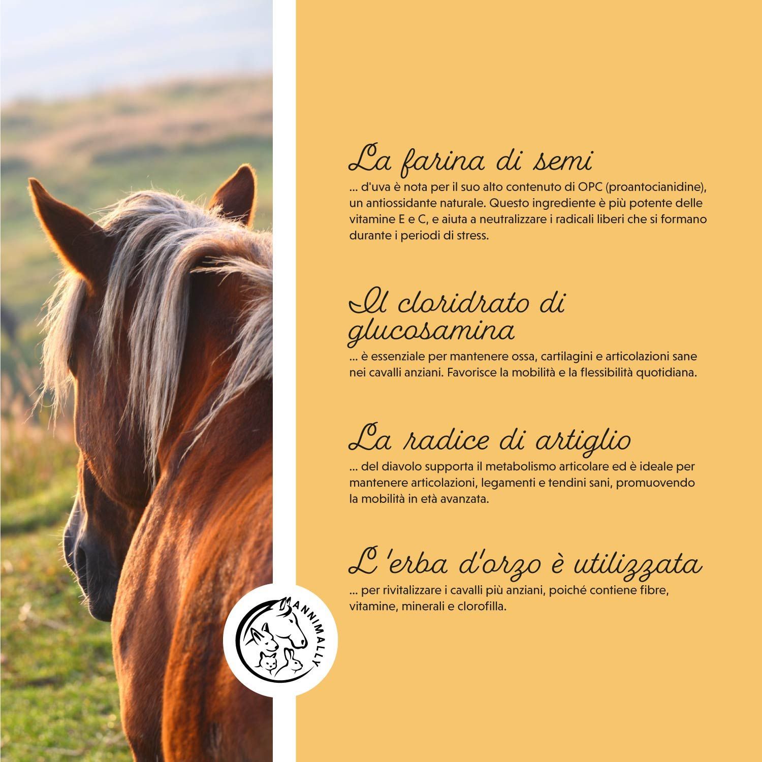 Cavallo con testo: Gli ingredienti. Farina di semi, Glucosamina, Radice di artiglio, Erba d'orzo. Logo con cavallo, cane e coniglio.