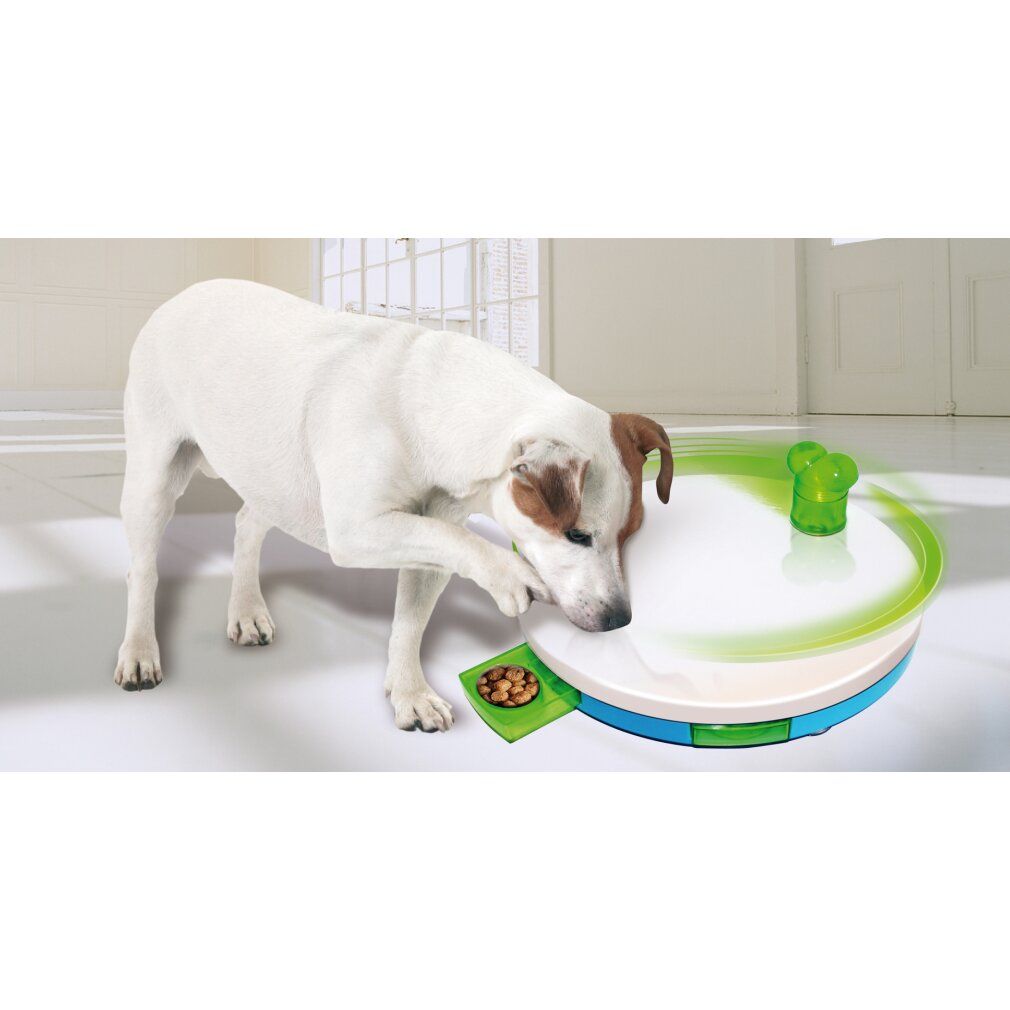 Giocattolo per l'addestramento del cane