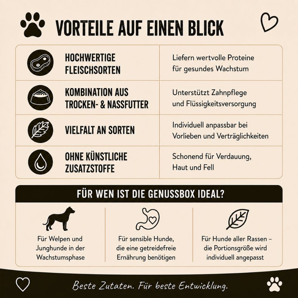 Vantaggi della scatola Wildfang Junior per cani.