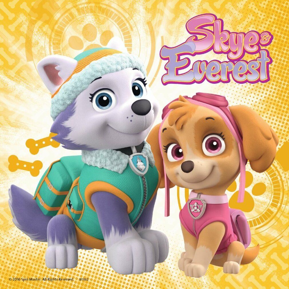 Skye ed Everest, personaggi di Paw Patrol, su sfondo giallo. Everest indossa una tuta verde. Skye indossa una tuta rosa.
