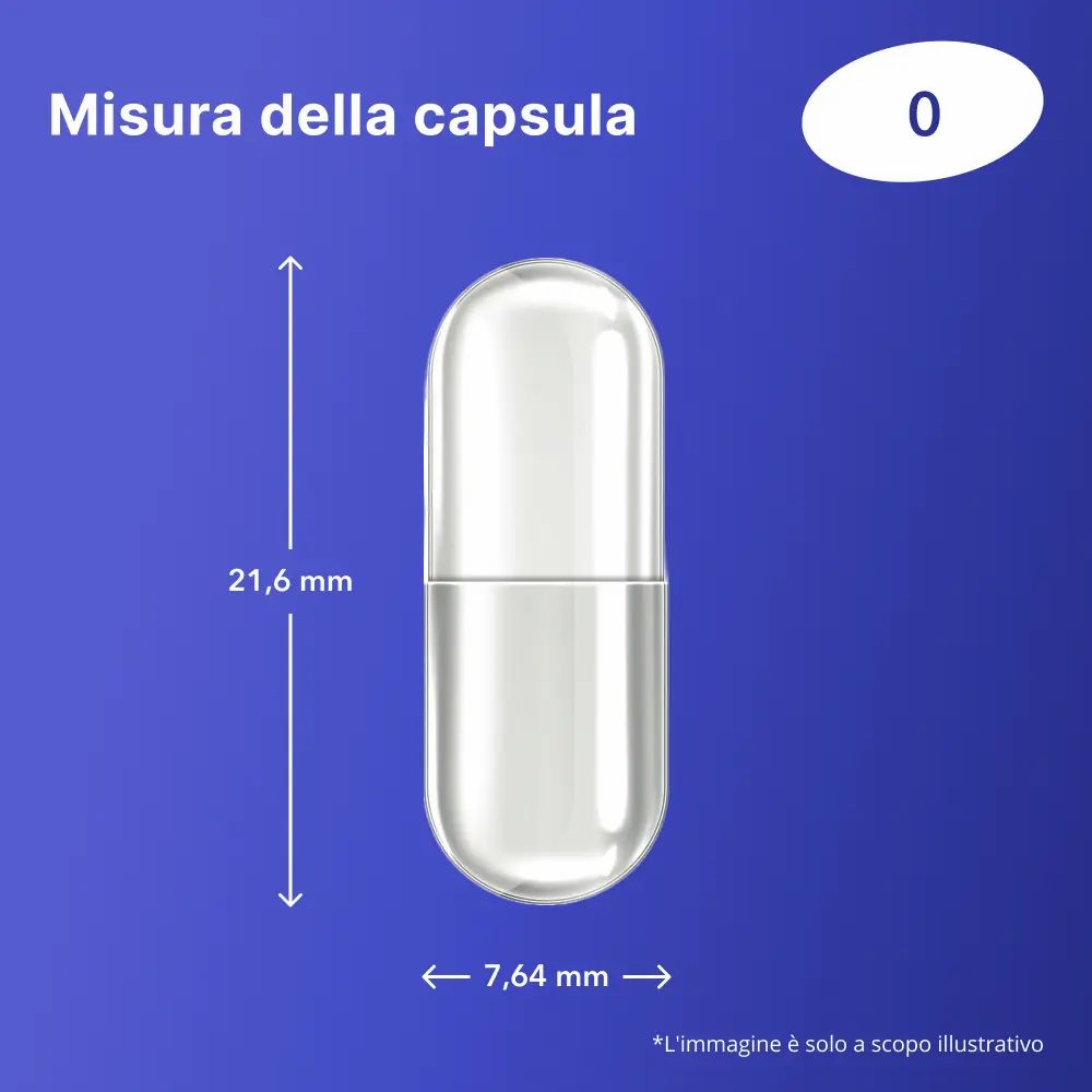 Capsula trasparente, con dimensioni: 21,6 mm x 7,64 mm. Dimensione 0.
