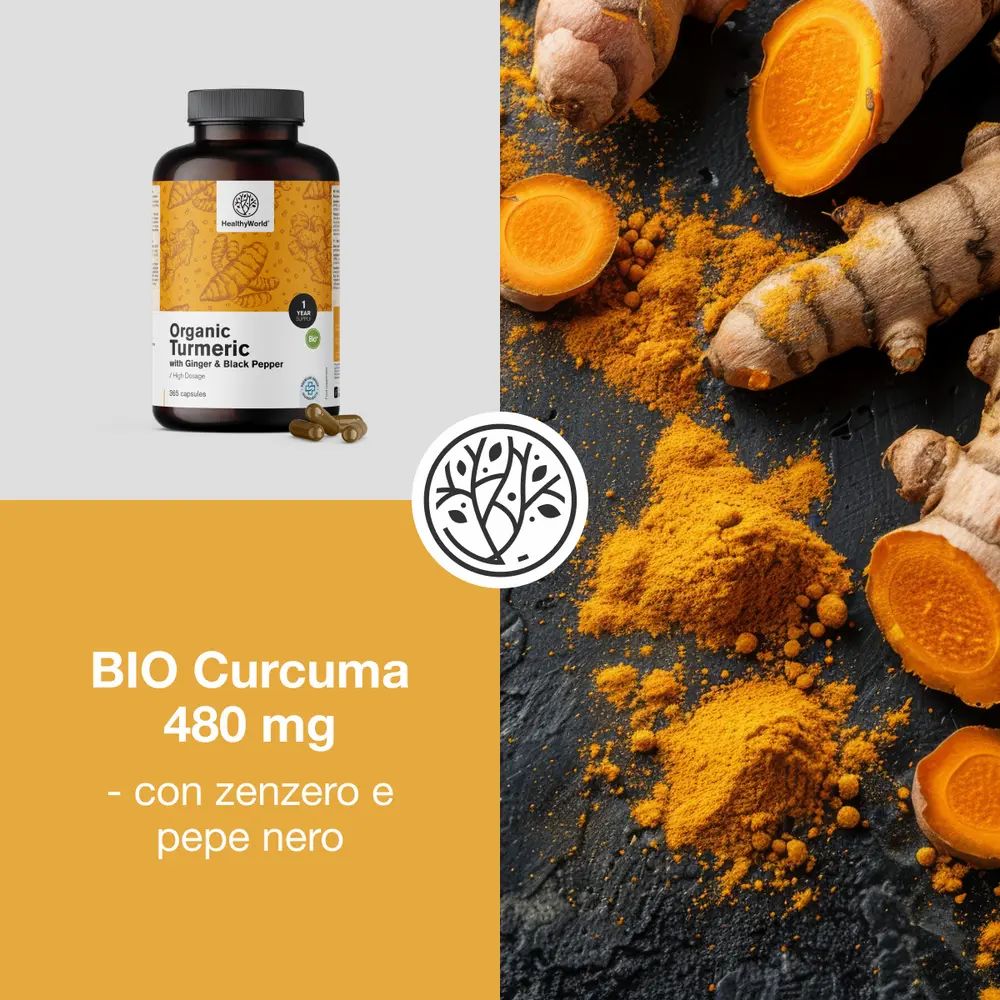BIO Curcuma 480 mg con zenzero e pepe nero. Polvere e radici di curcuma. Logo HealthyWorld.