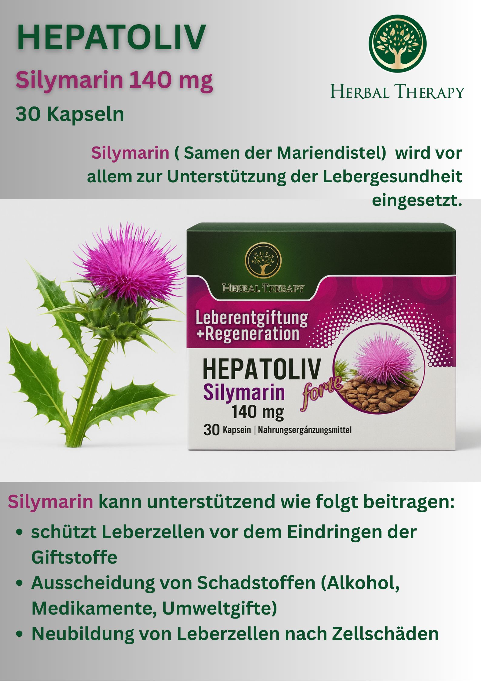 Scatola HEPATOLIV Silymarin 140 mg con testo e illustrazione. Nome del prodotto, 30 capsule. Sfondo con pianta.