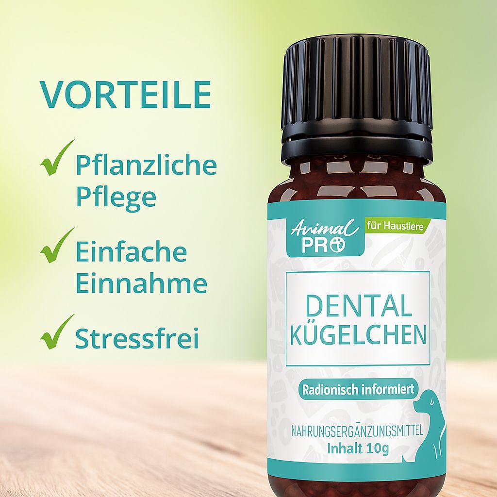 Flaconcino Animal Pro Dental Kügelchen con vantaggi.
