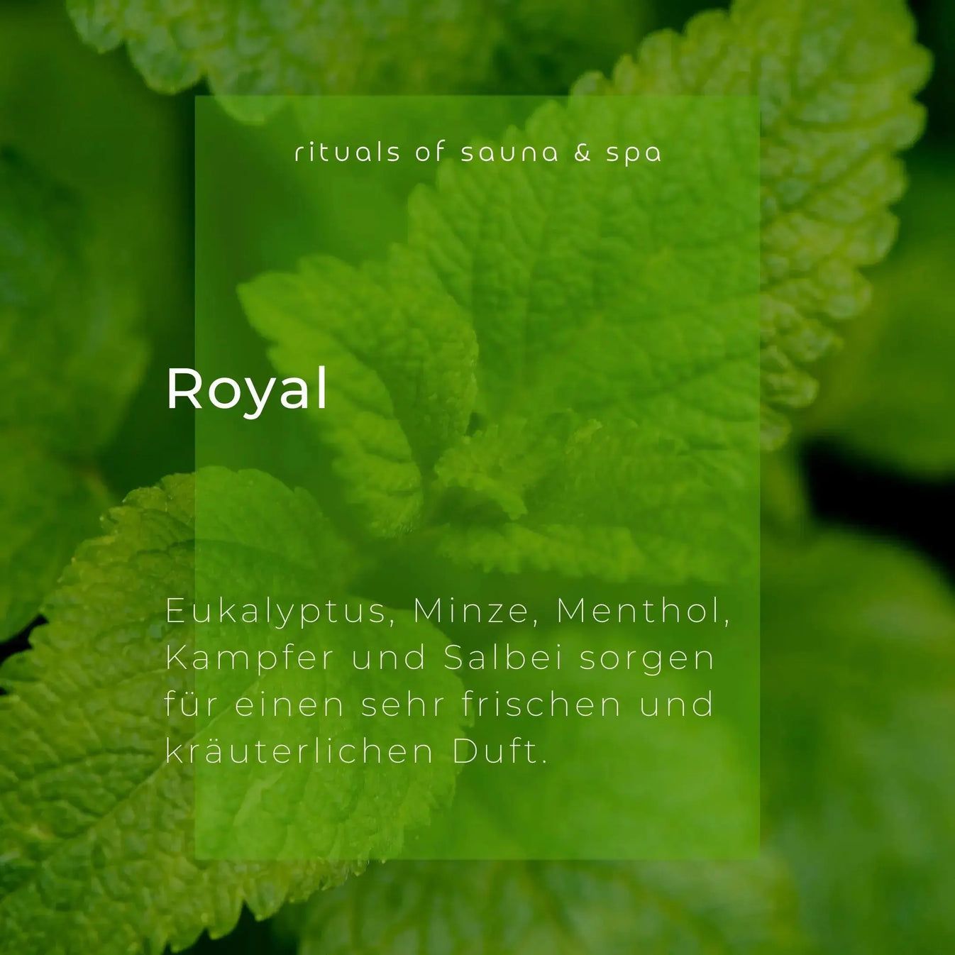 Fogliame verde con testo: Royal, Eucalipto, Menta, Mentolo, Canfora e Salvia. Rituals of sauna & spa.