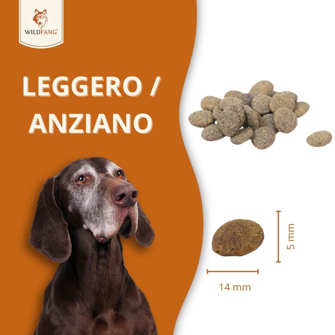 Crocchette di cibo secco accanto a un cane. Dimensioni: 14 mm x 5 mm. Testo: LEGGERO / ANZIANO. Marchio: WILDFANG.