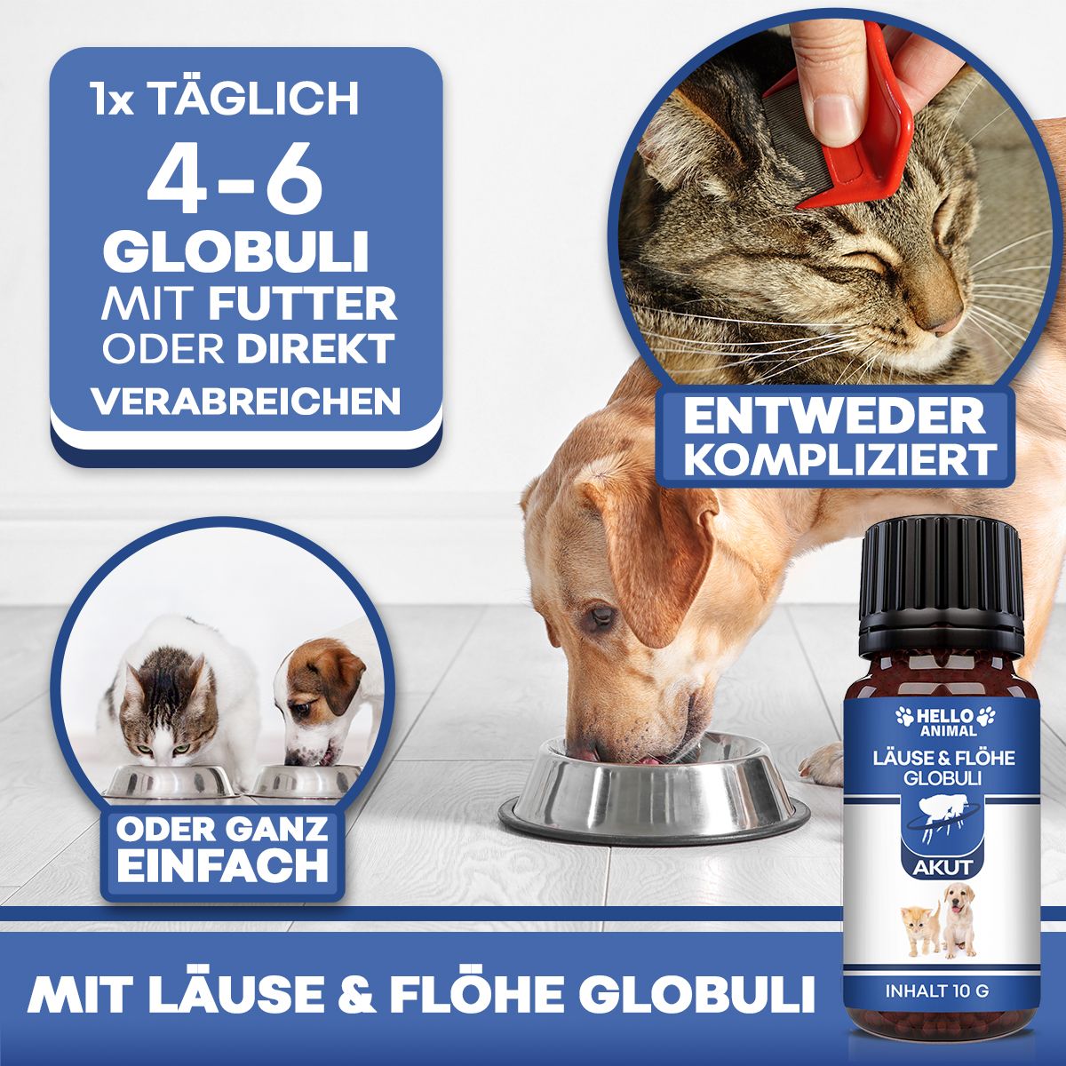 Flacone del prodotto accanto a gatto e cane. Testo: 'Con Läuse & Flöhe Globuli'. Istruzioni per l'uso e immagini.