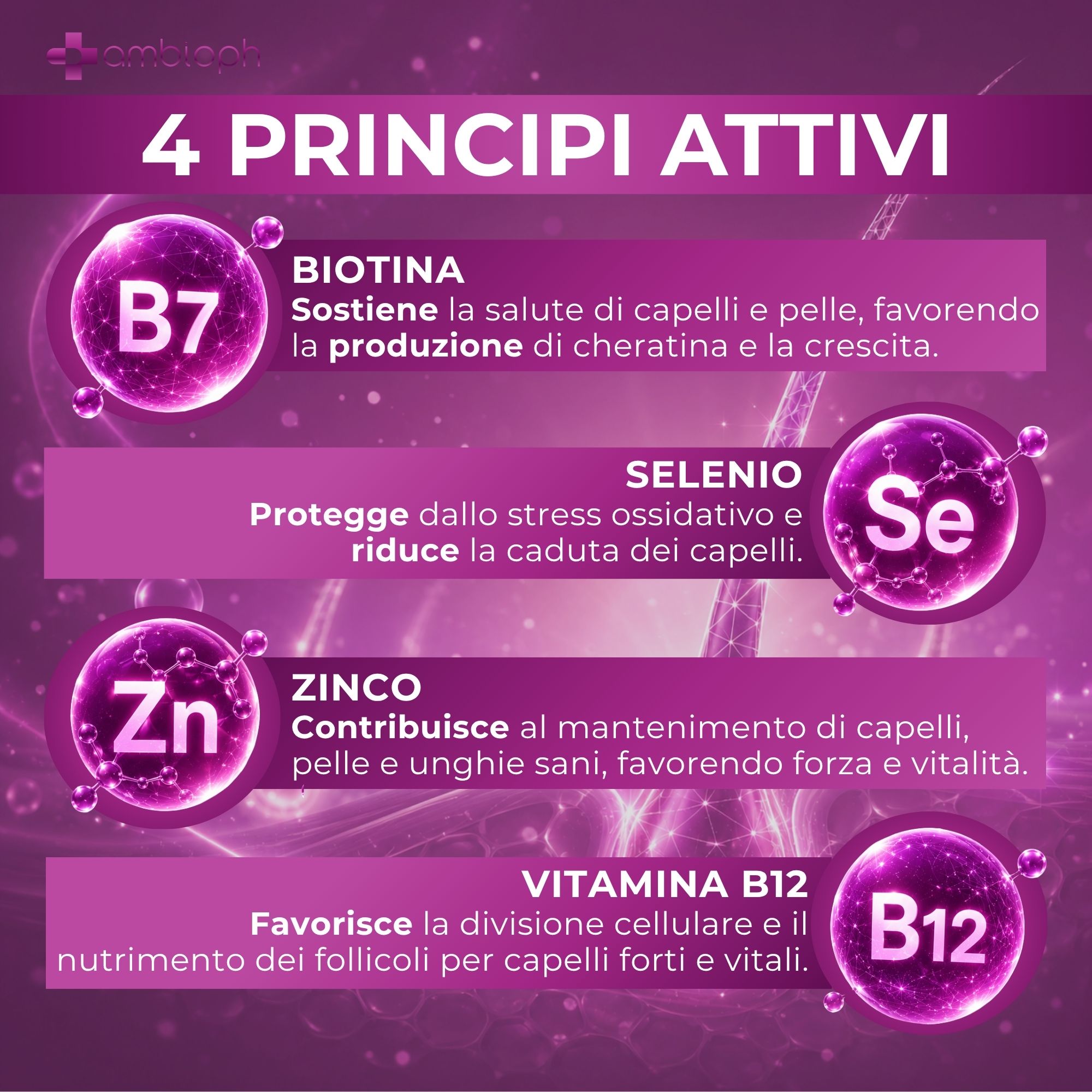 Quattro cerchi che mostrano i principi attivi biotina (B7), selenio (Se), zinco (Zn) e vitamina B12.