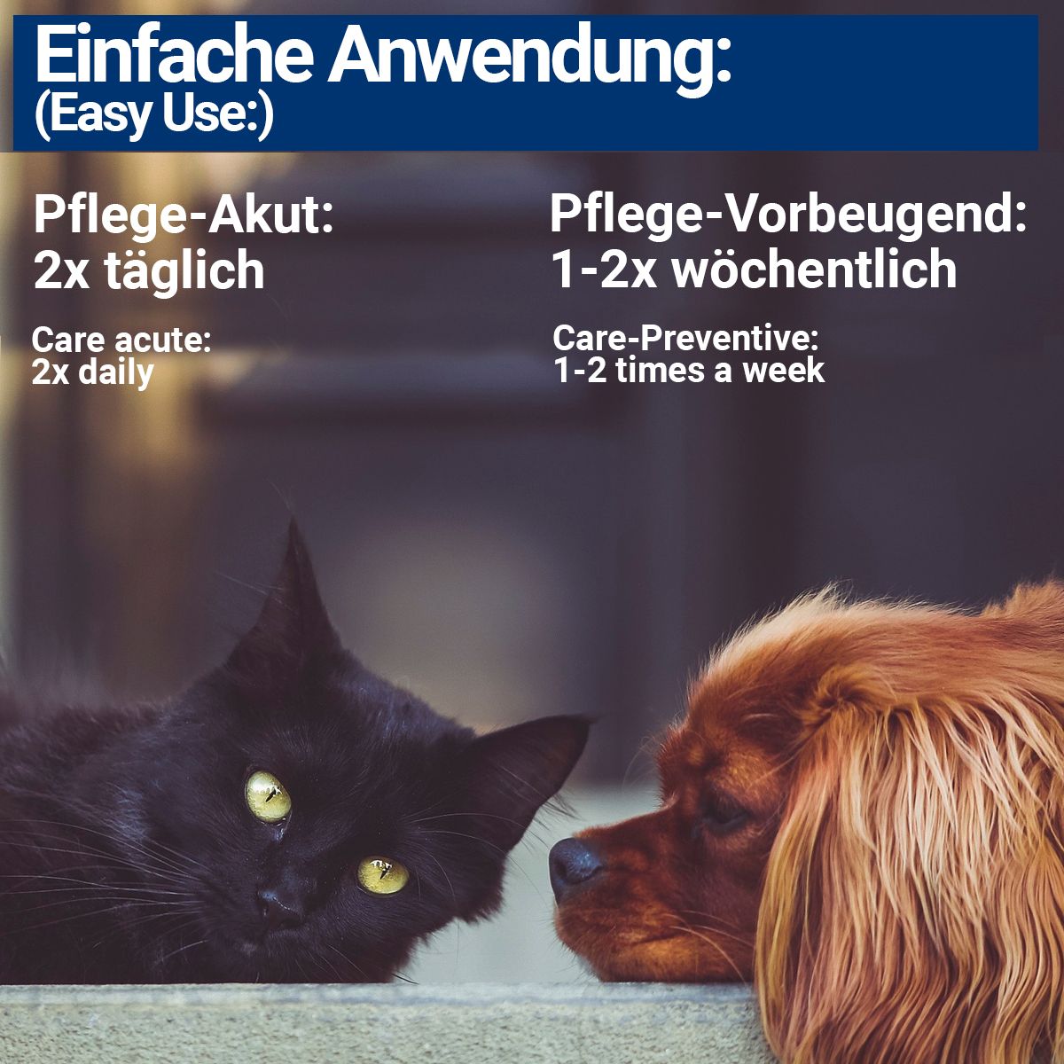 Argento Colloidale 25 Ppm 500 Ml + 50g Erbe Miste - Prodotto Per Avicoltura E Veterinaria
