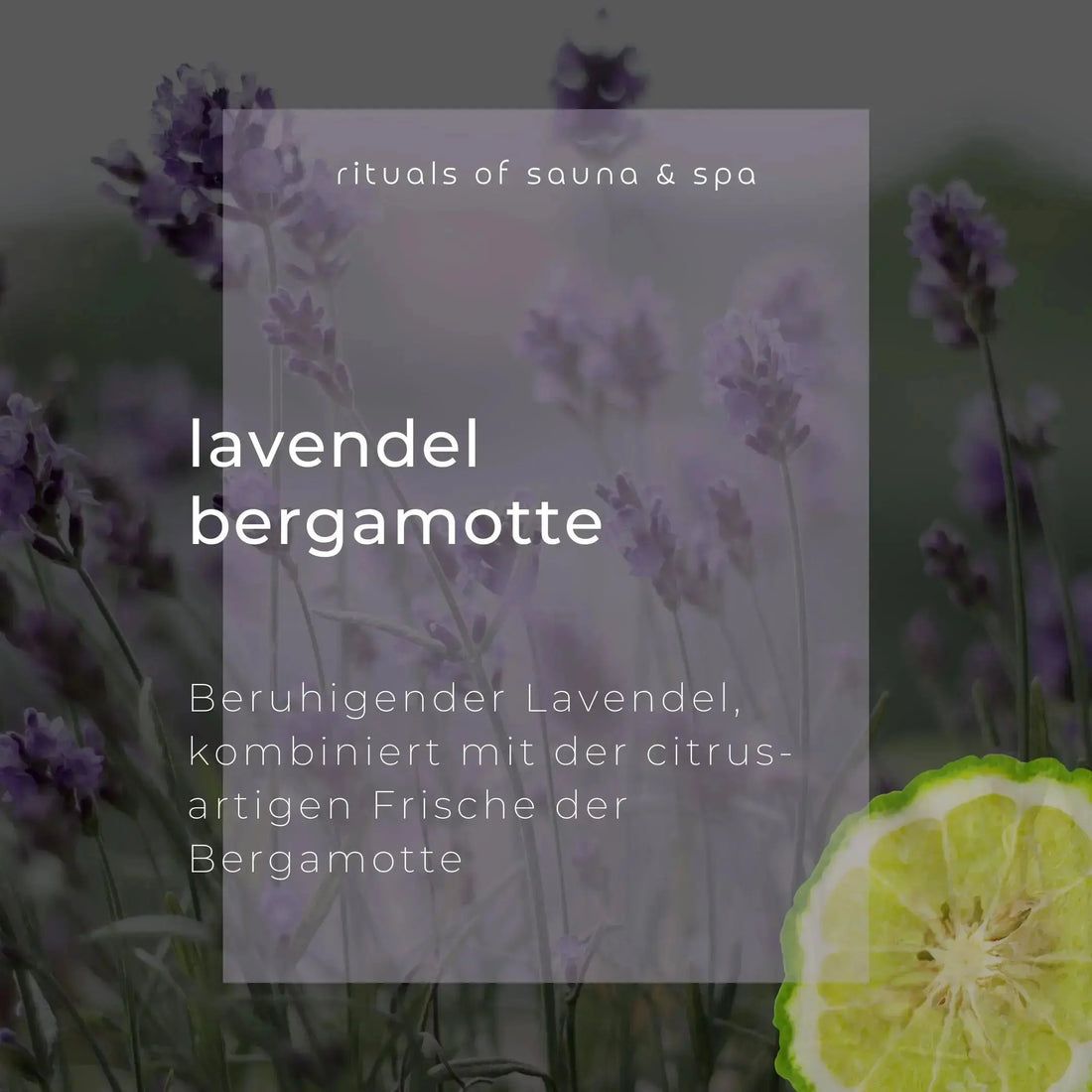 Grafica con fiori di lavanda e bergamotto. Testo: Lavanda Bergamotto. Lavanda rilassante, combinata con la freschezza del bergamotto.