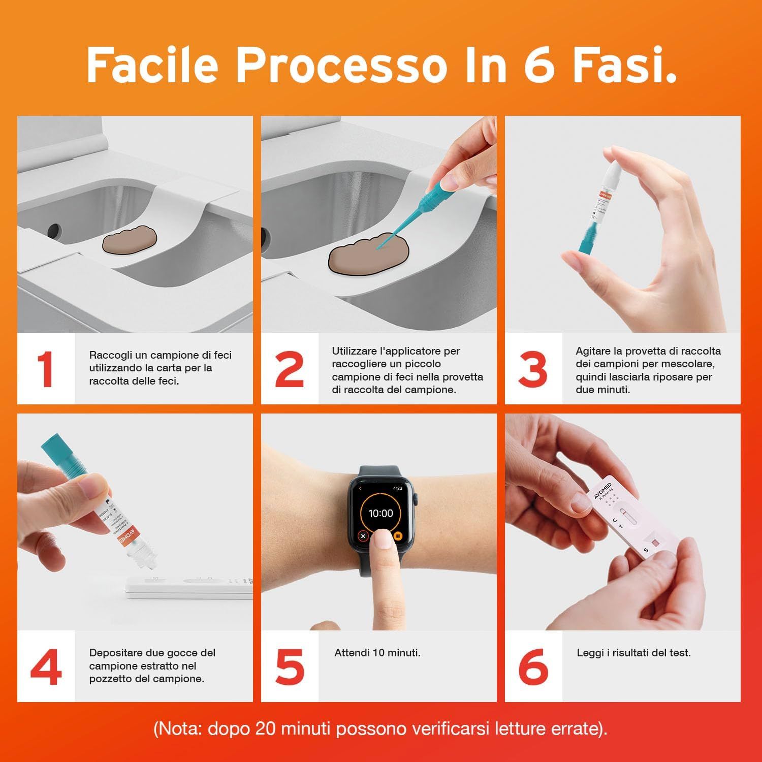 Processo di test in 6 fasi. Testo: Raccogliere, usare l'applicatore, mescolare, 2 gocce, aspettare 10 minuti, leggere il risultato. Toilette, orologio, striscia.