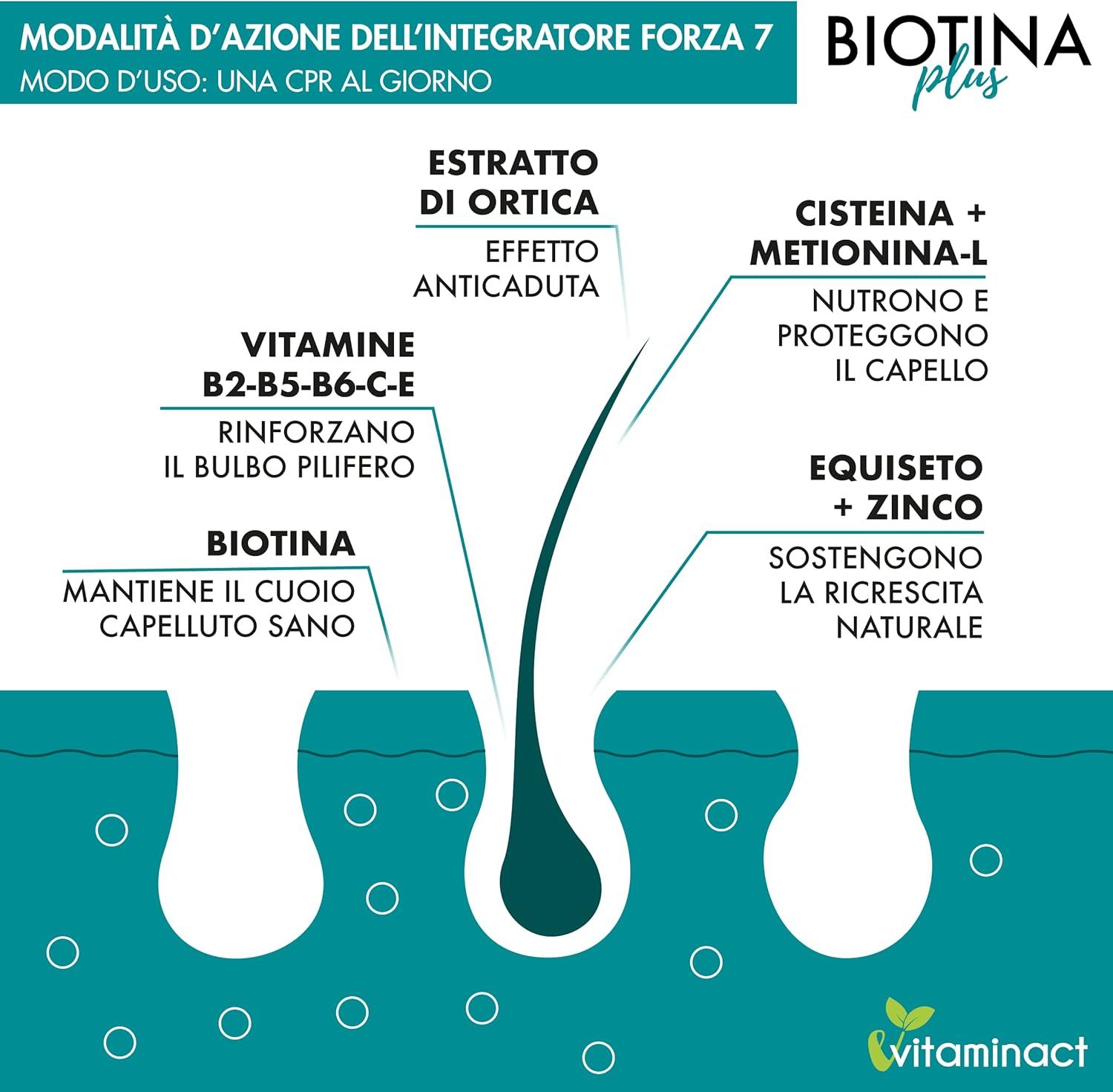Vitaminact Compresse Biotin Plus