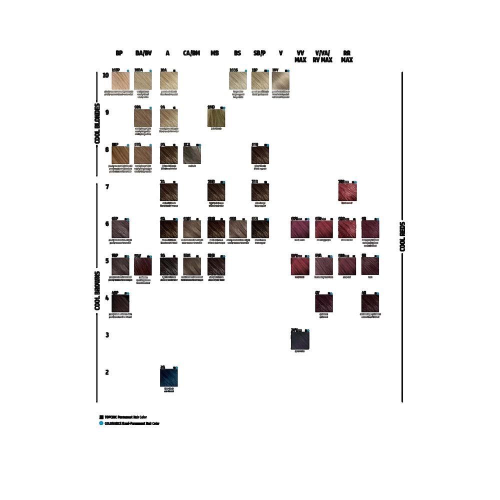Tabella colori per capelli. Diverse tonalità disposte in righe e colonne. Legende in nero e blu.