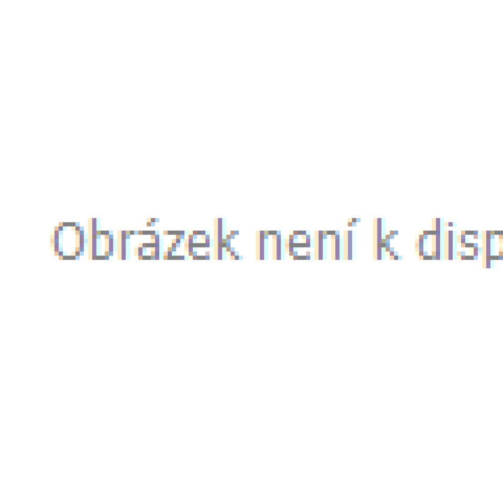 Immagine non disponibile.