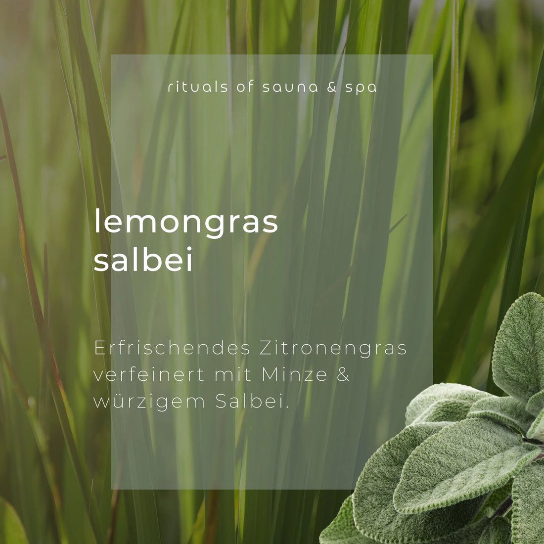 Testo su sfondo verde: Lemongrass Salbei. Citronella rinfrescante, raffinata con menta e salvia.