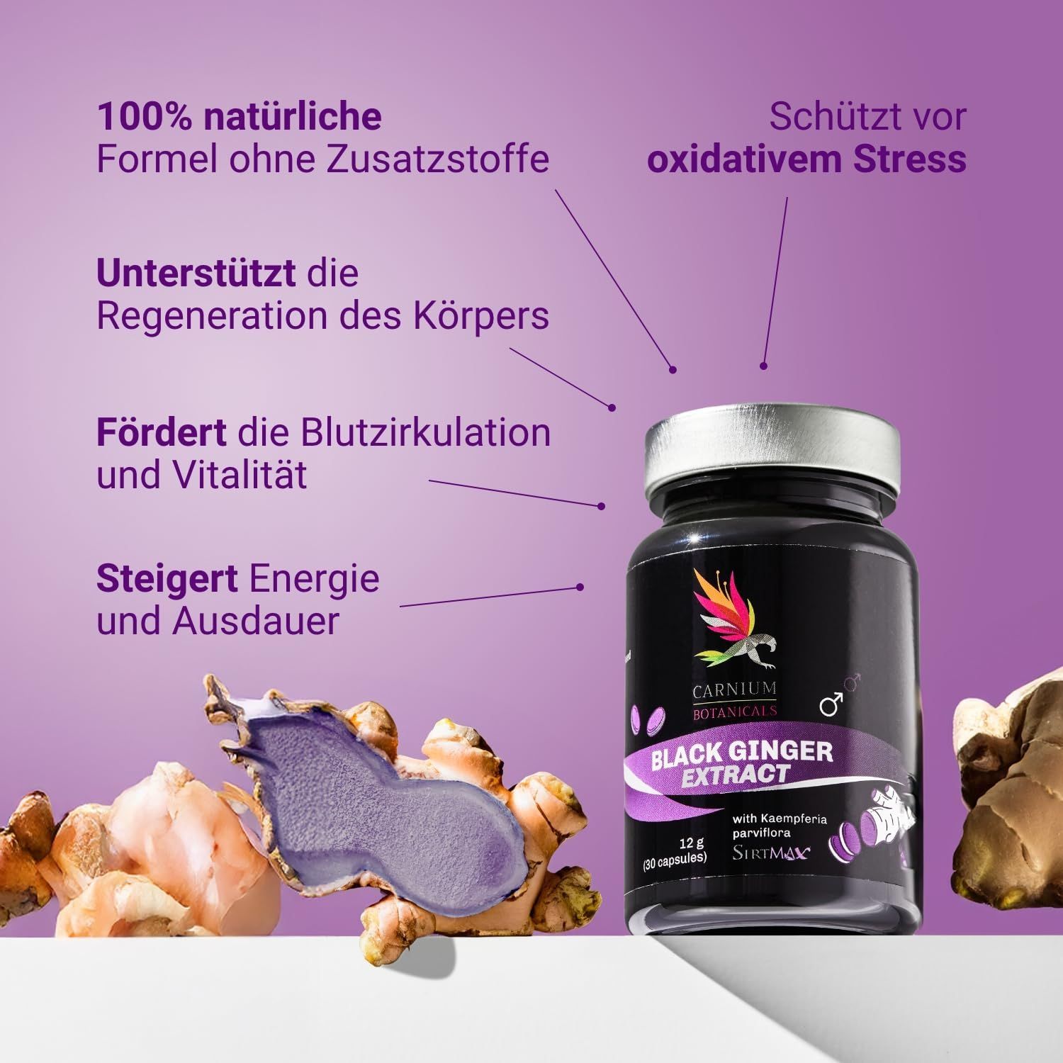 Flacone del prodotto con scritta: Black Ginger Extract. Testo: Formula naturale al 100%. Supporta la rigenerazione del corpo. Protegge dallo stress ossidativo.