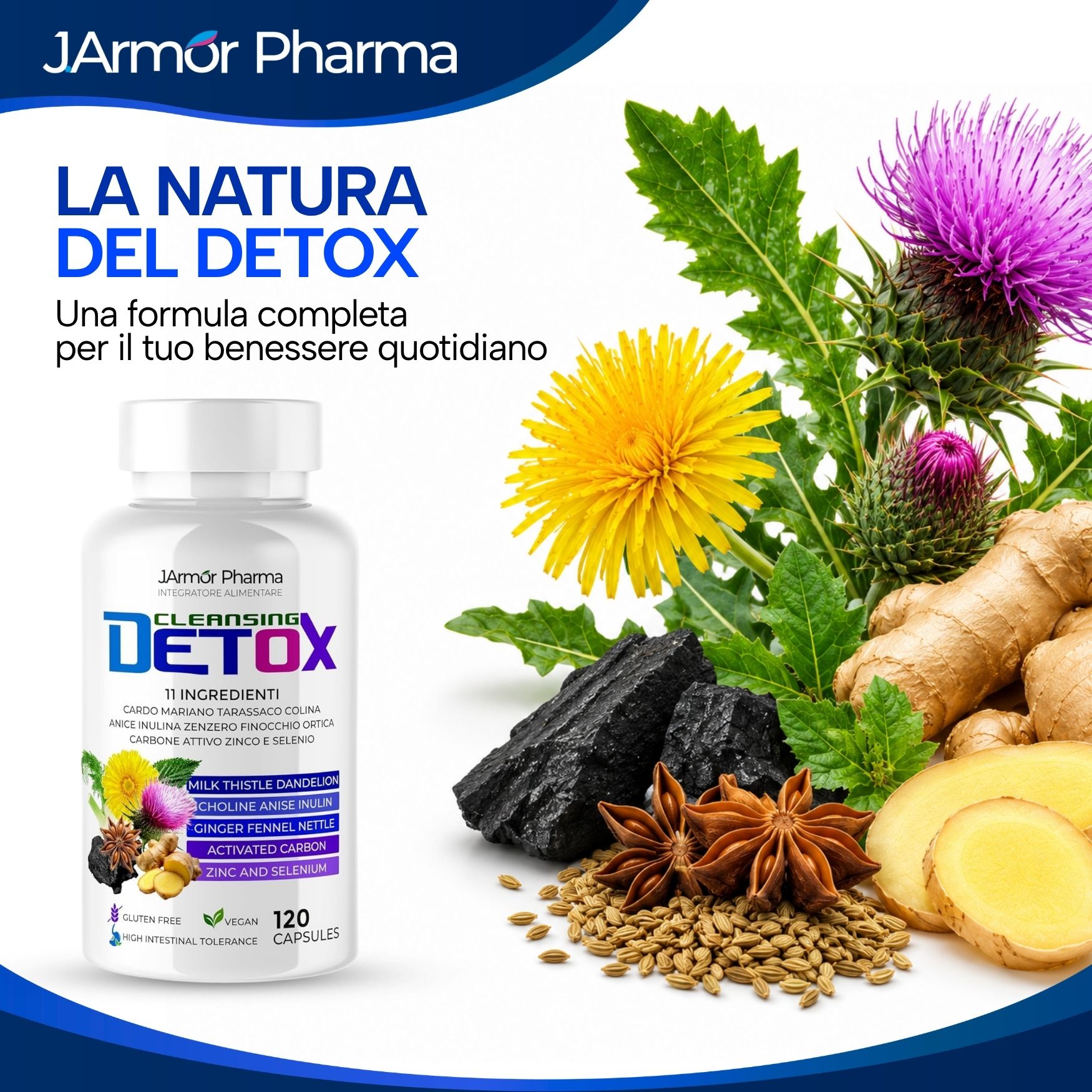 Bottiglia da 120 capsule circondata da zenzero, erbe e carbone attivo.